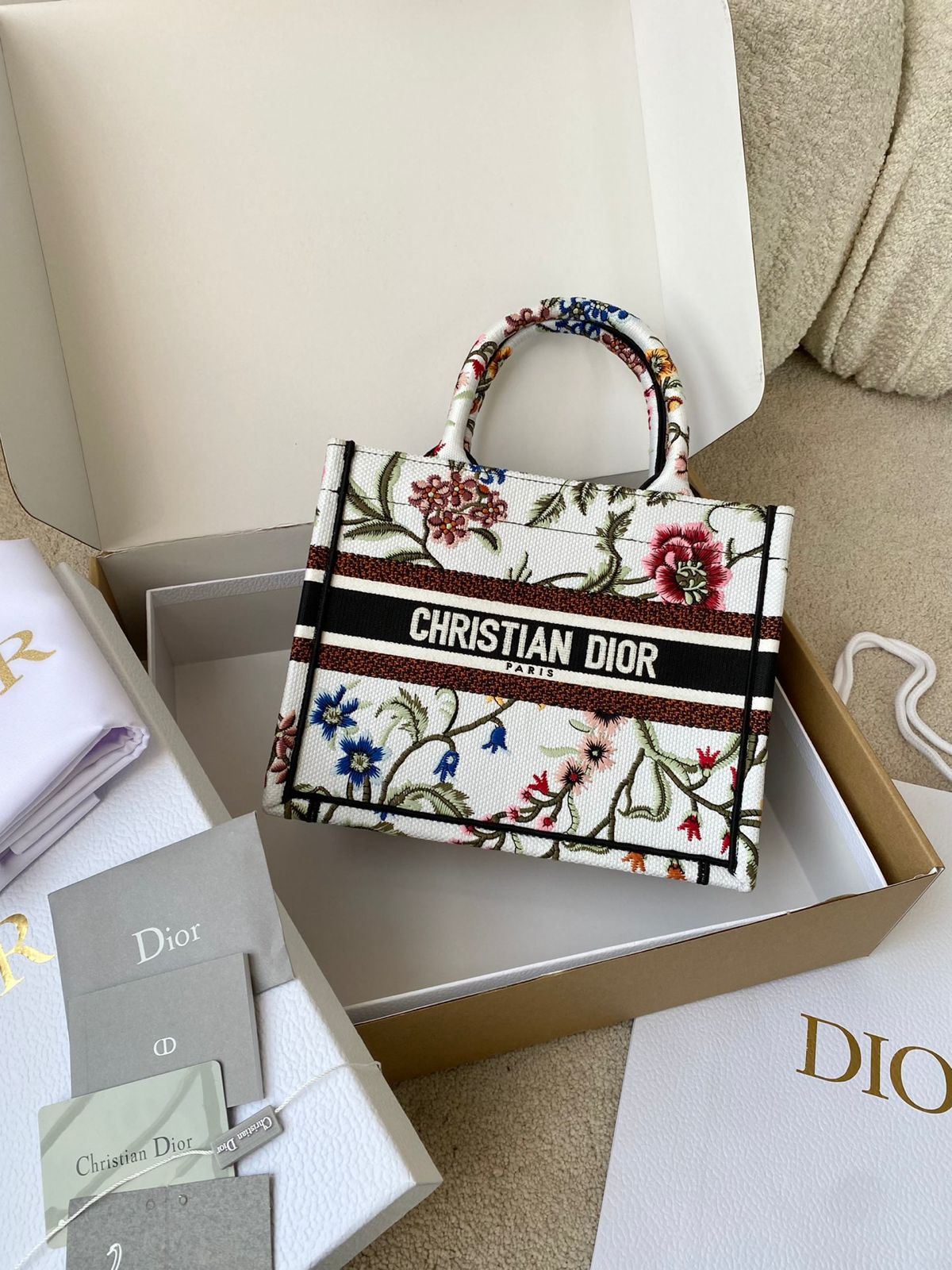 Christian Dior Book Tote In Medium