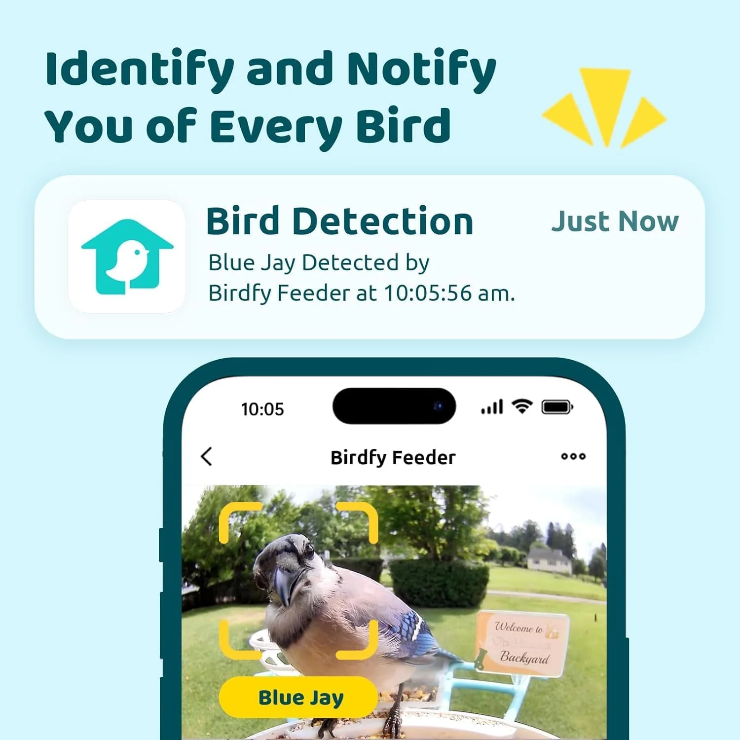 NETVUE by Birdfy Smart Bird Feeder With Camera, Solar Power, 1.5L - Image 2 NETVUE by Birdfy Smart Bird Feeder With Camera, Solar Power, 1.5L - Image 2