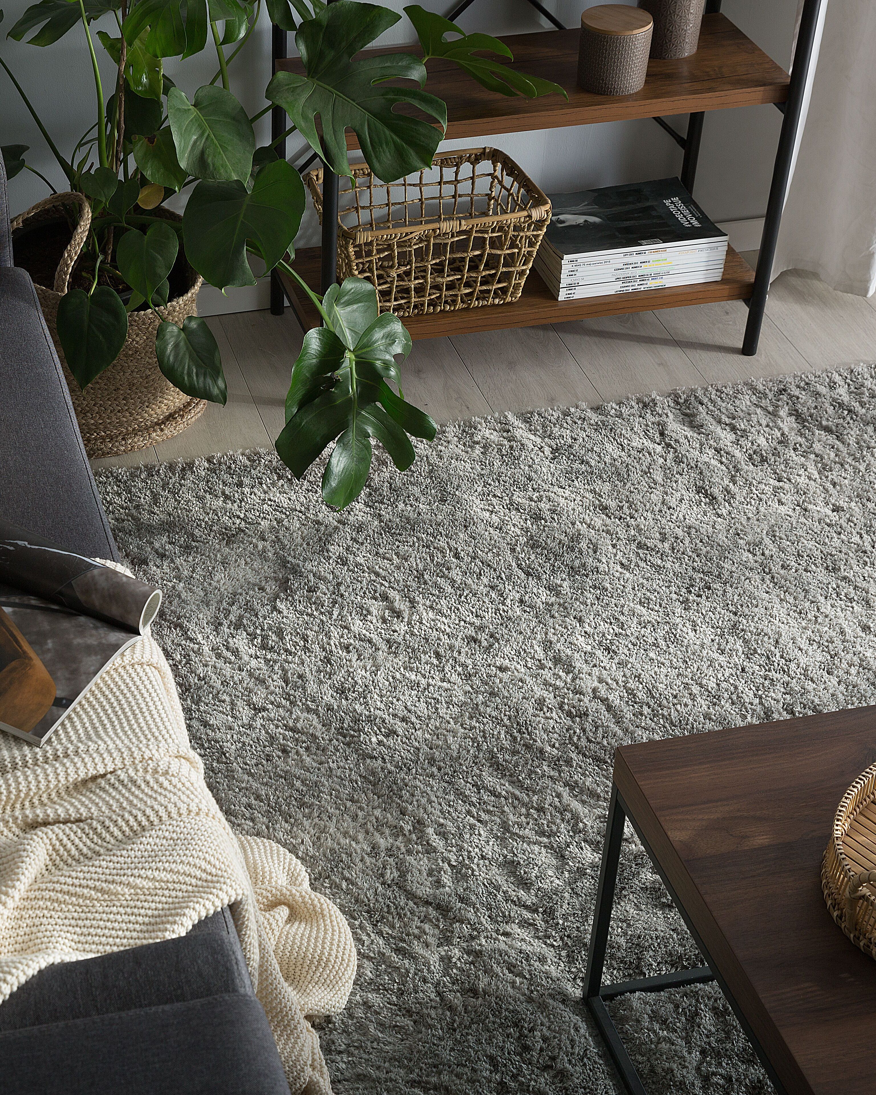 Shaggy Rug EVREN Light Grey 200 x 300 cm