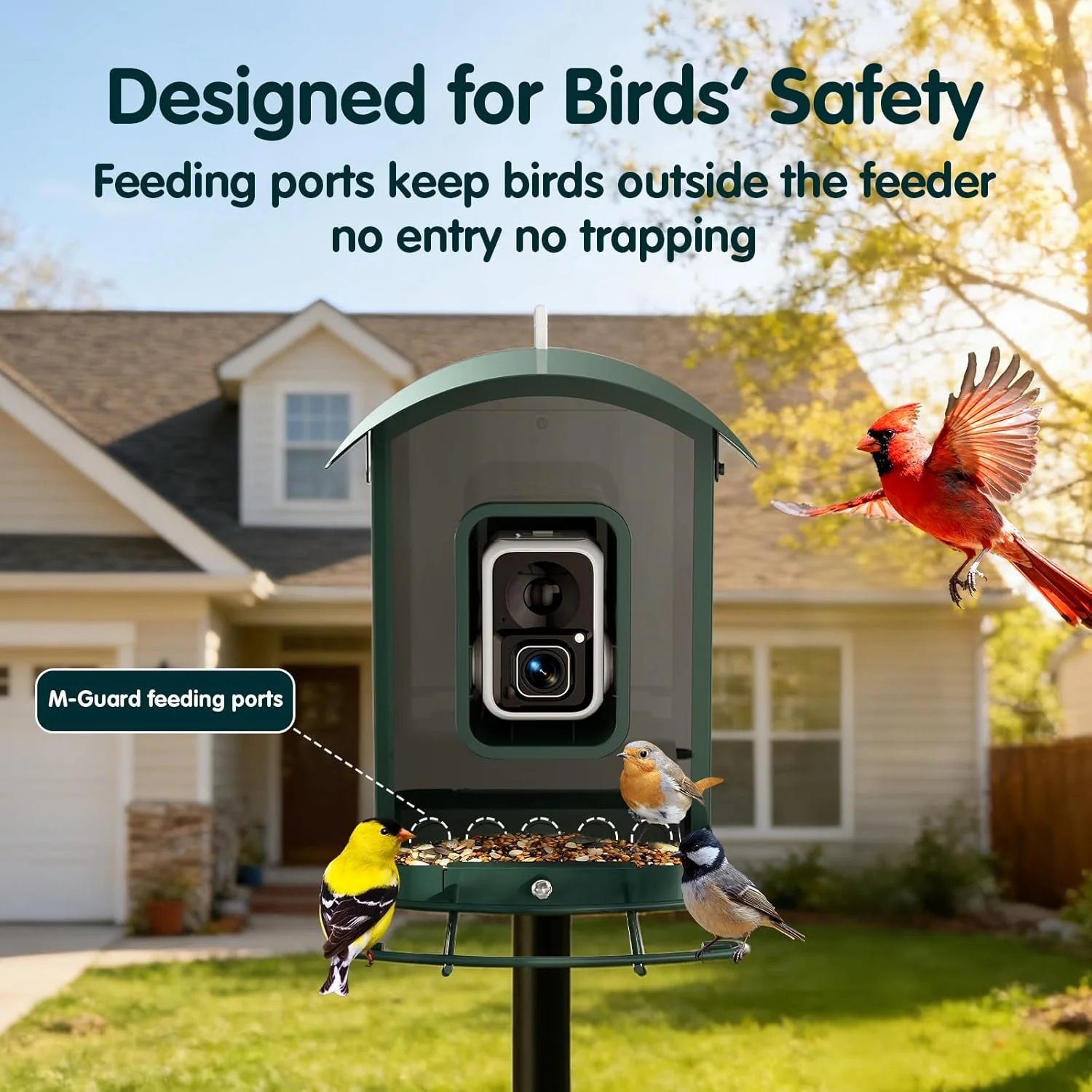 Humbirdy Smart Bird Feeder With Camera, 4K Ultra HD, Solar Powered, 2.4G/5G Wi-Fi - Image 6 Humbirdy Smart Bird Feeder With Camera, 4K Ultra HD, Solar Powered, 2.4G/5G Wi-Fi - Image 6