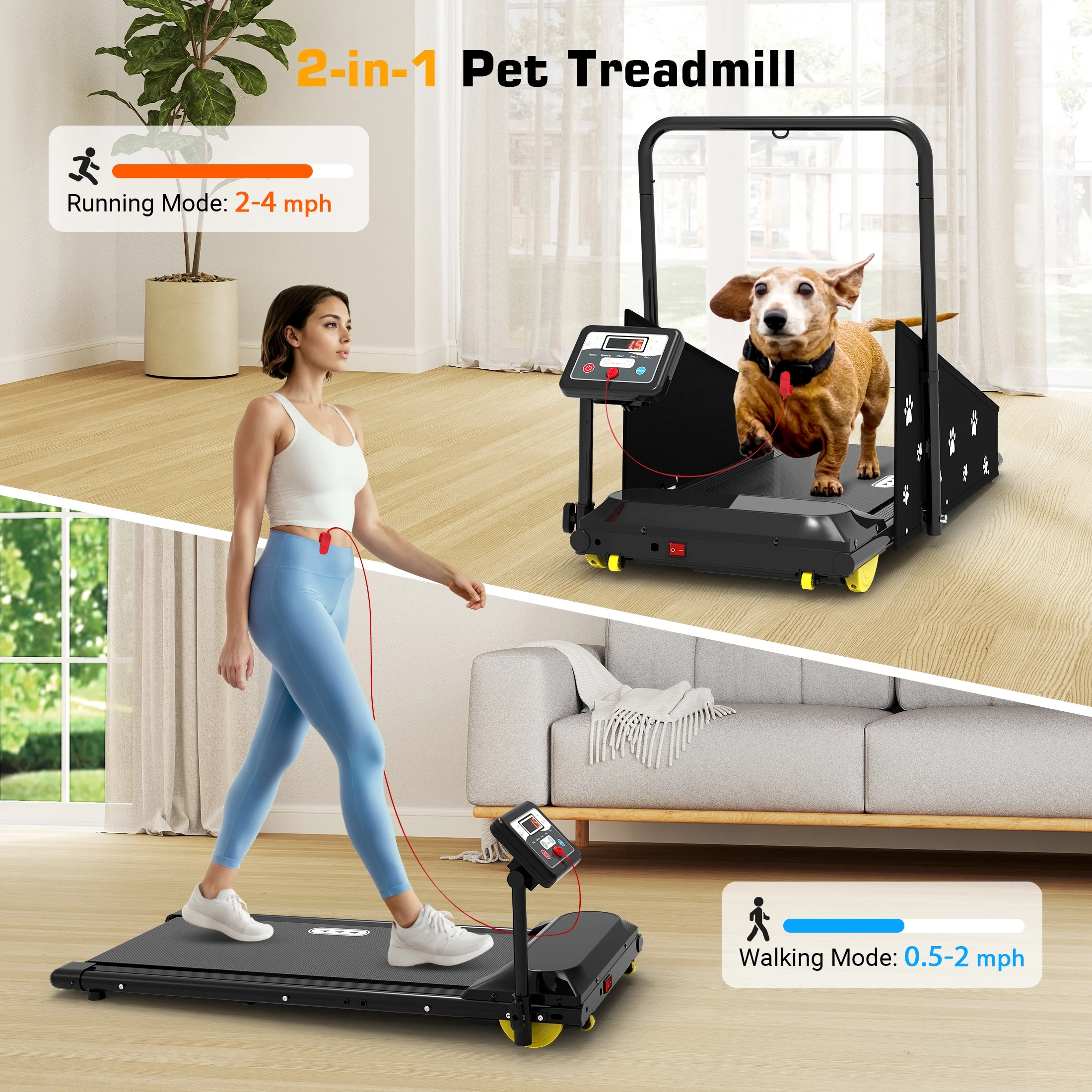 Hapycity Dog Treadmill, Indoor Pet Fitness Machine for Small & Medium Dogs, 265LB Capacity, LCD Display & Remote - Image 2