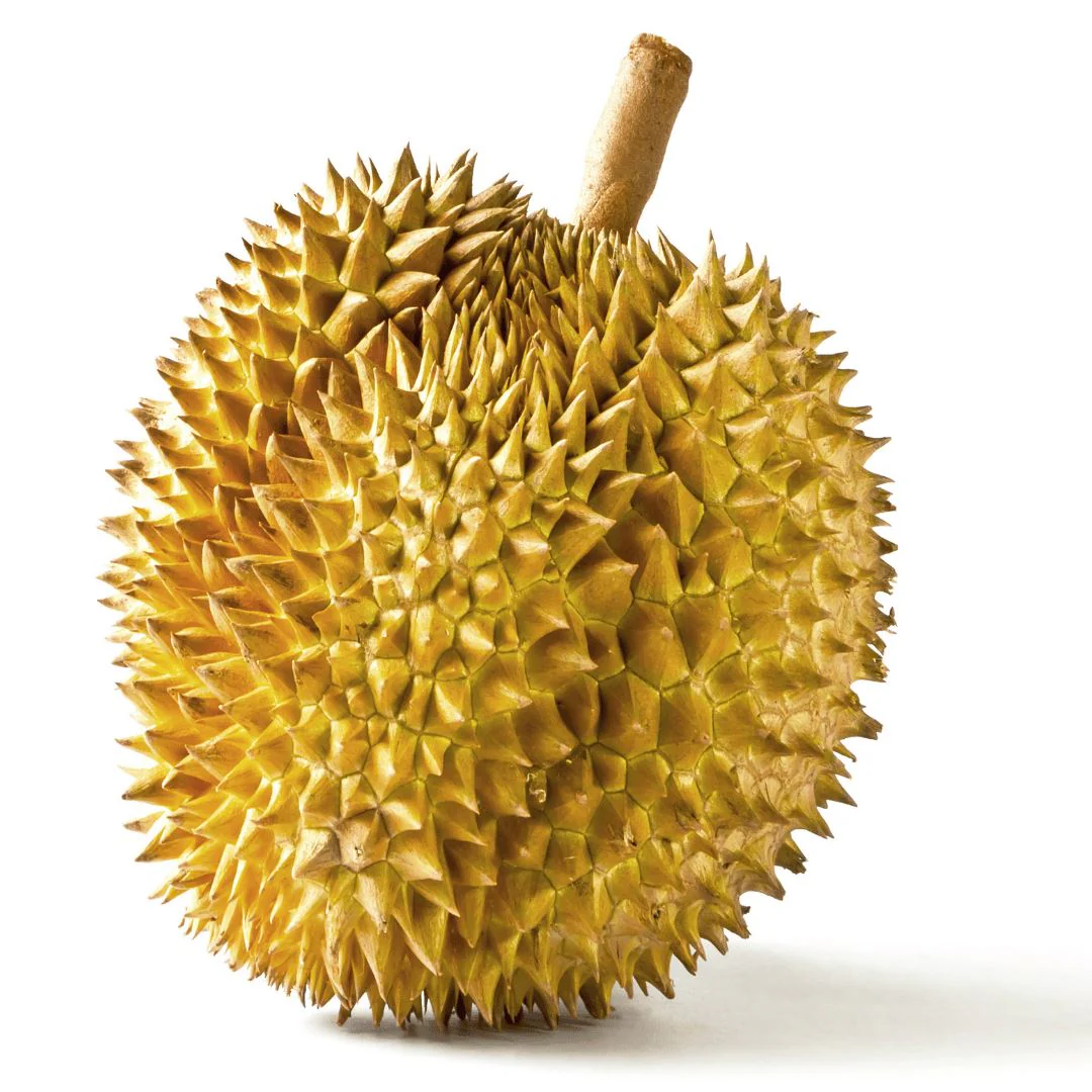 Durian – The exotic king fruit for the brave and connoisseurs