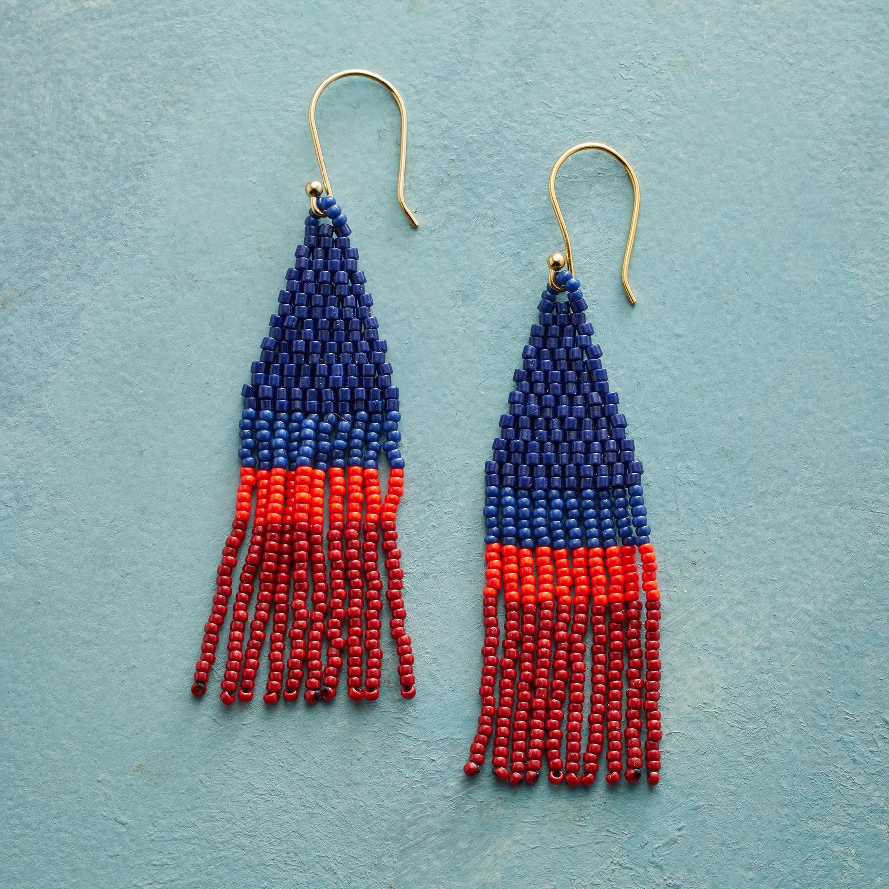Dancing Fringe Earrings - Sundance Clothing