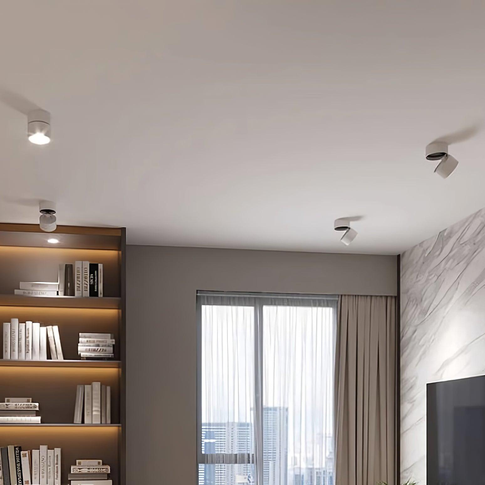 VerstelGloed - Plafondlamp met Flexibele Lichtinstellingen