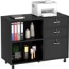 DEXTRUS 3 Drawer Lateral File Cabinet, Printer Stand with Drawers, File Cabinet Fits A4 Letter Legal Size Folders, Black