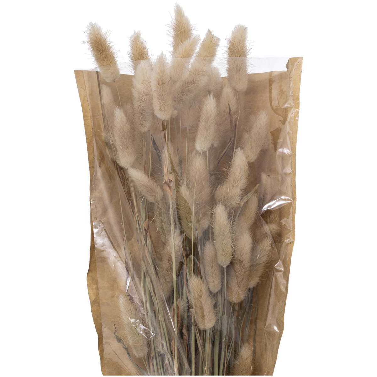 Dried flower bouquet "Ori" Ivory white, H.58 cm