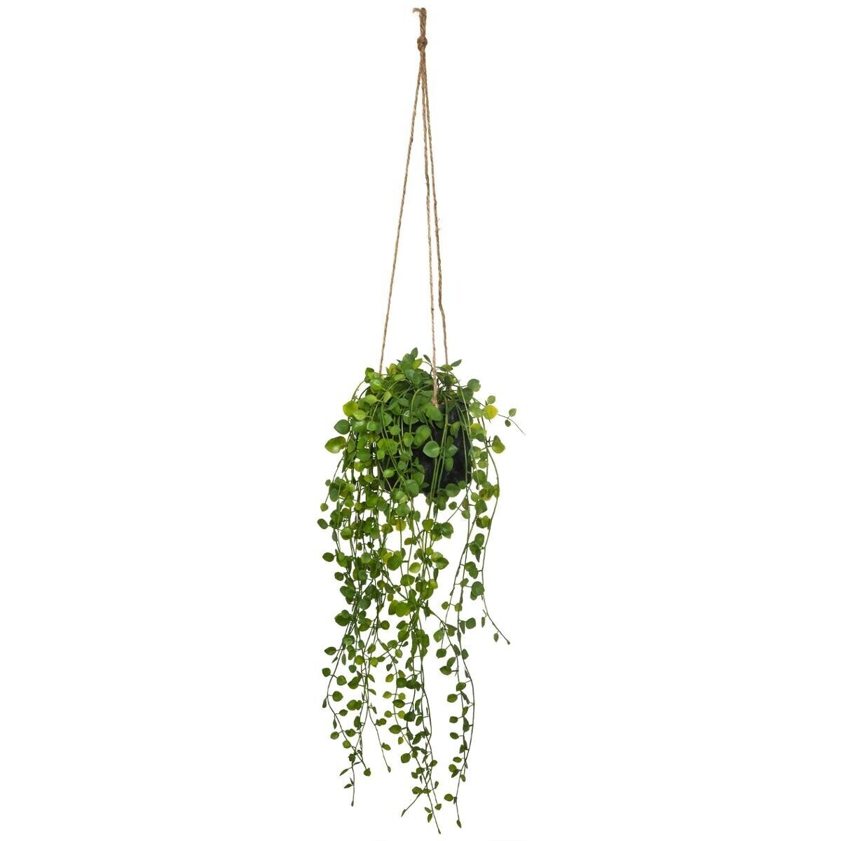 Artificial plant for hanging "Living" &Oslash; 10 cm