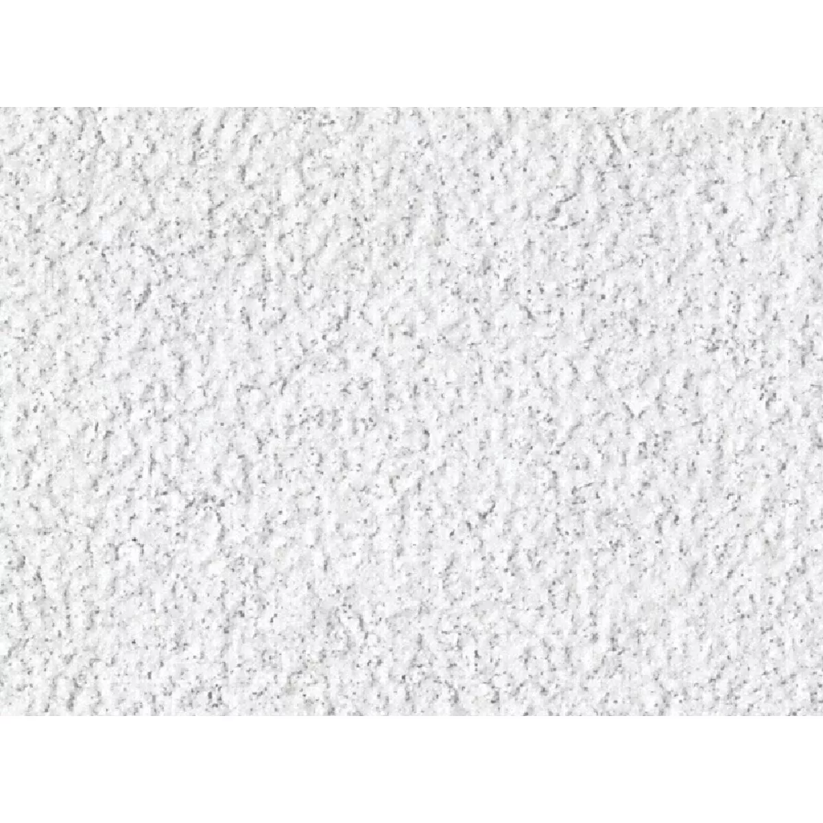 USG Eclipse 2 Ft. x 2 Ft. Mineral Fiber Suspended Acoustical Ceiling Panels (12-Count)