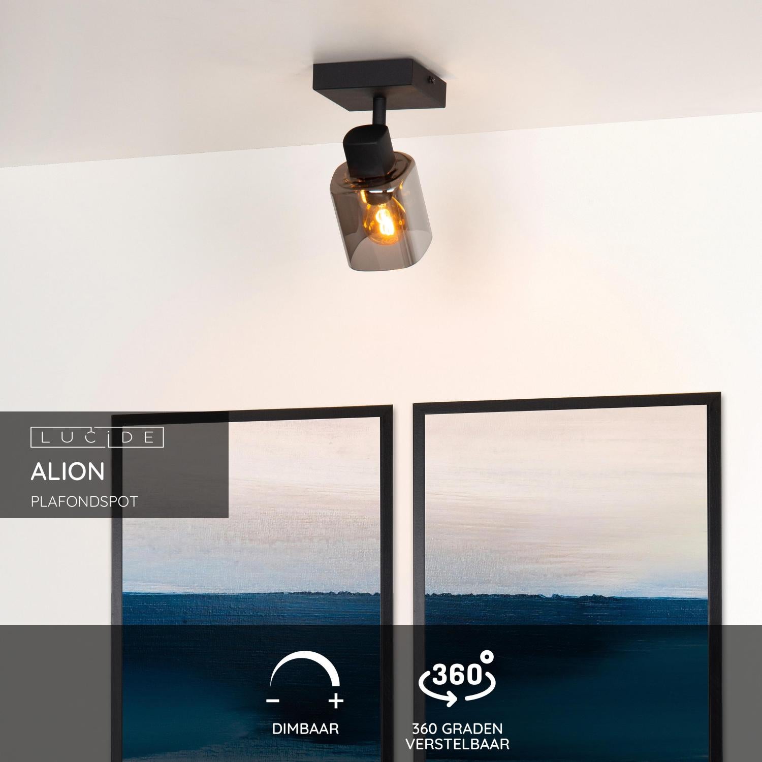 Lucide ALION Plafondspot - Zwart