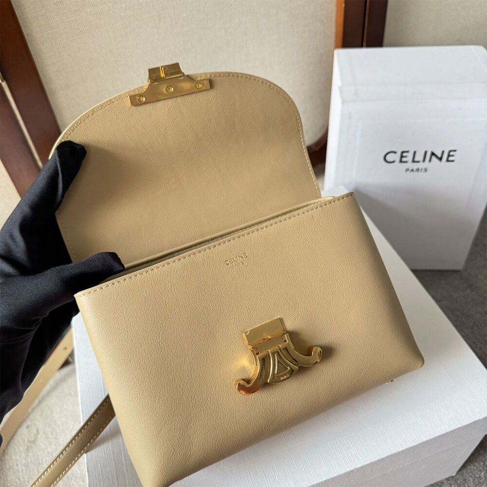 Celine Teen Nino Bag In Triomphe Canvas1:1High-quality replica