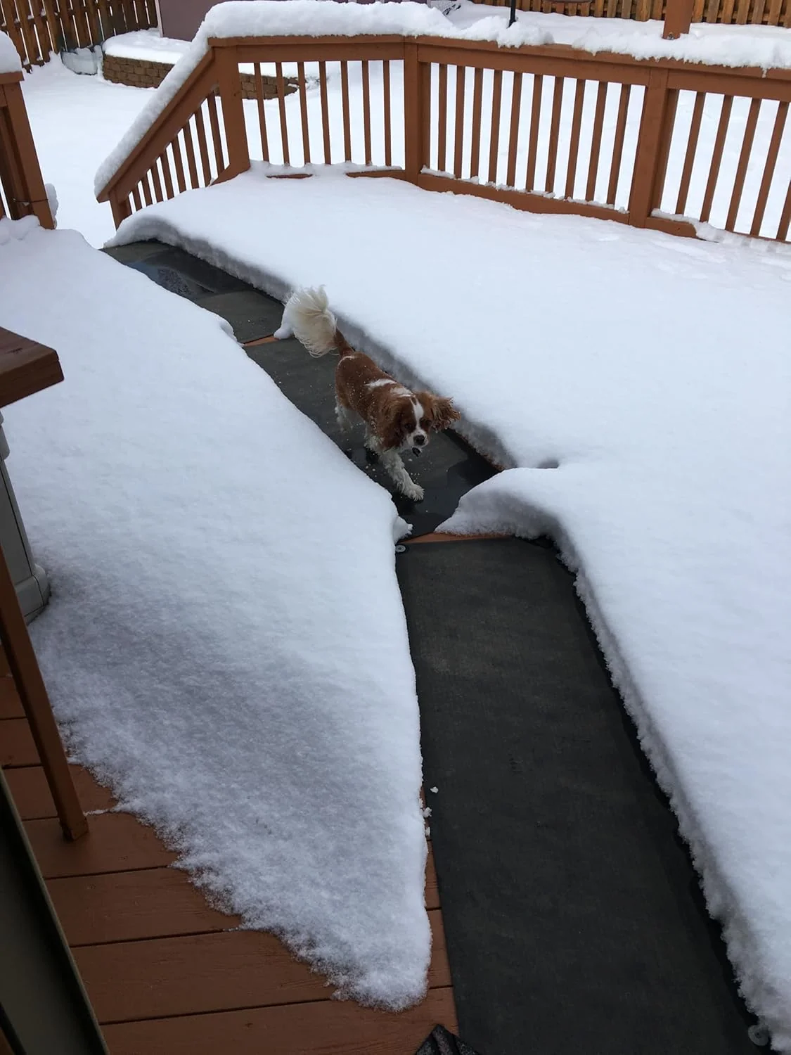 HeatTrak Heated Outdoor Snow Melting Mat - 20 x 60 in - Image 8 HeatTrak Heated Outdoor Snow Melting Mat - 20 x 60 in - Image 8