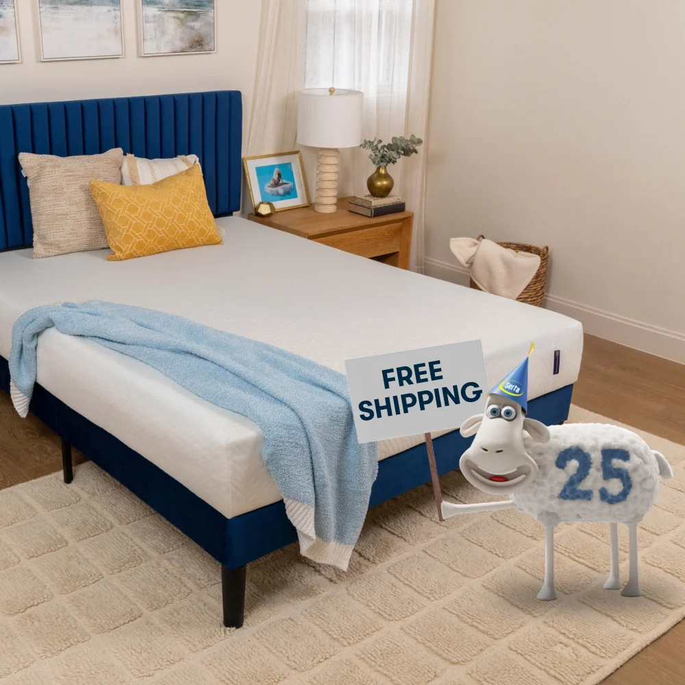 (2 pack) Serta 10