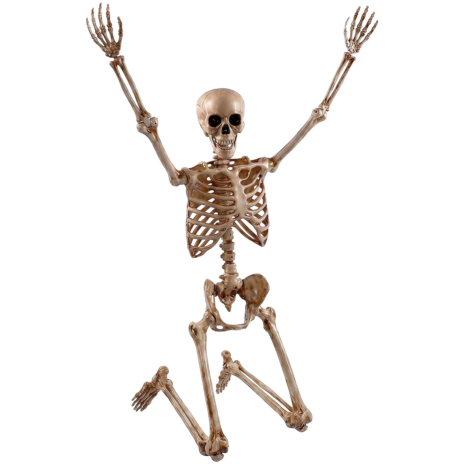 Ayieyill 5.4ft Halloween Skeleton Decorations, Weathered Posable Skeleton Decor for Halloween Decorations Outdoor Indoor - Image 7 Ayieyill 5.4ft Halloween Skeleton Decorations, Weathered Posable Skeleton Decor for Halloween Decorations Outdoor Indoor - Image 7