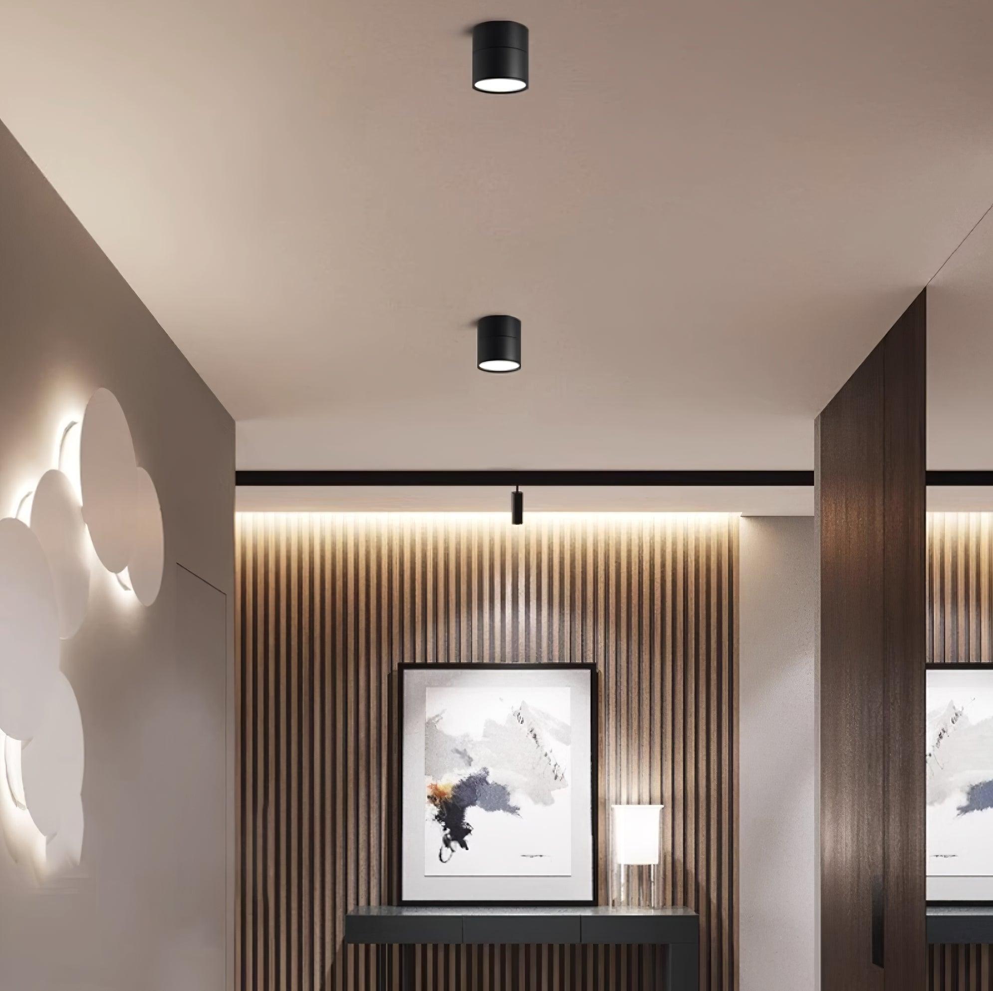 VerstelGloed - Plafondlamp met Flexibele Lichtinstellingen