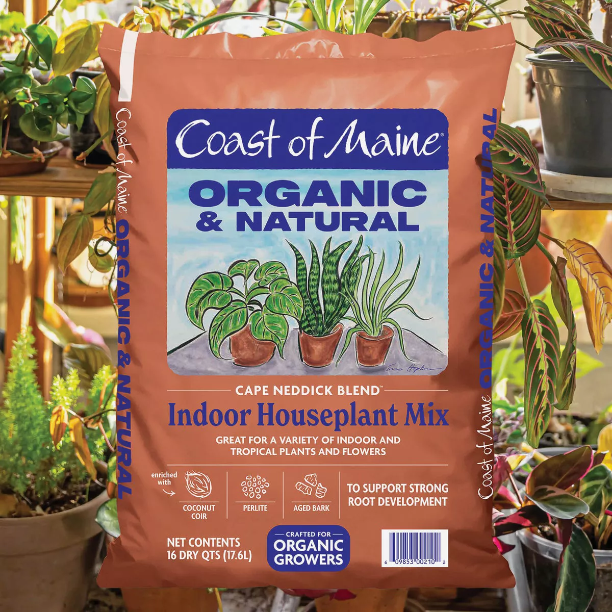 Coast of Maine Cape Neddick Blend 16 Qt. Indoor Houseplant Mix
