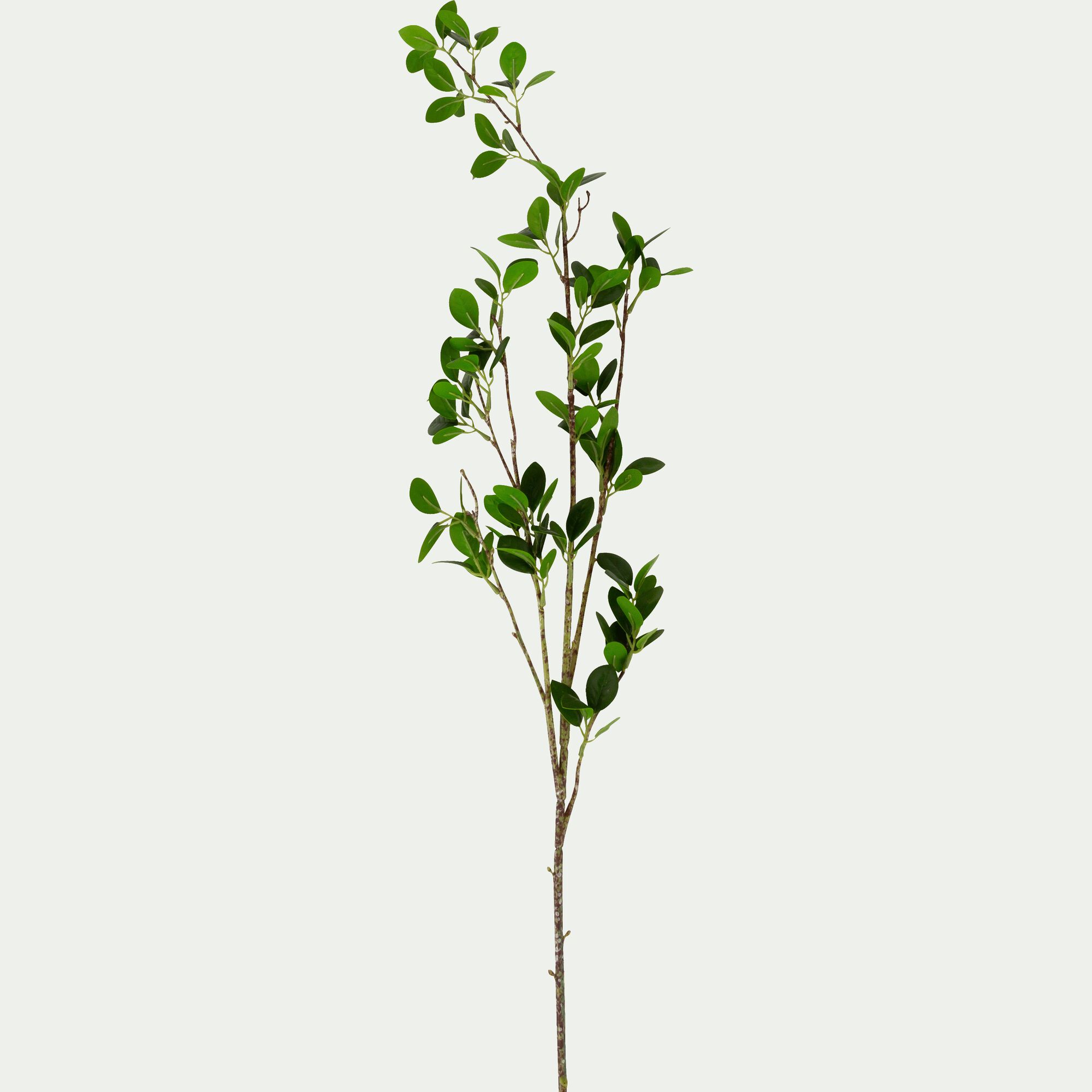 LAURIER - Branche artificielle de laurier - vert H70cm