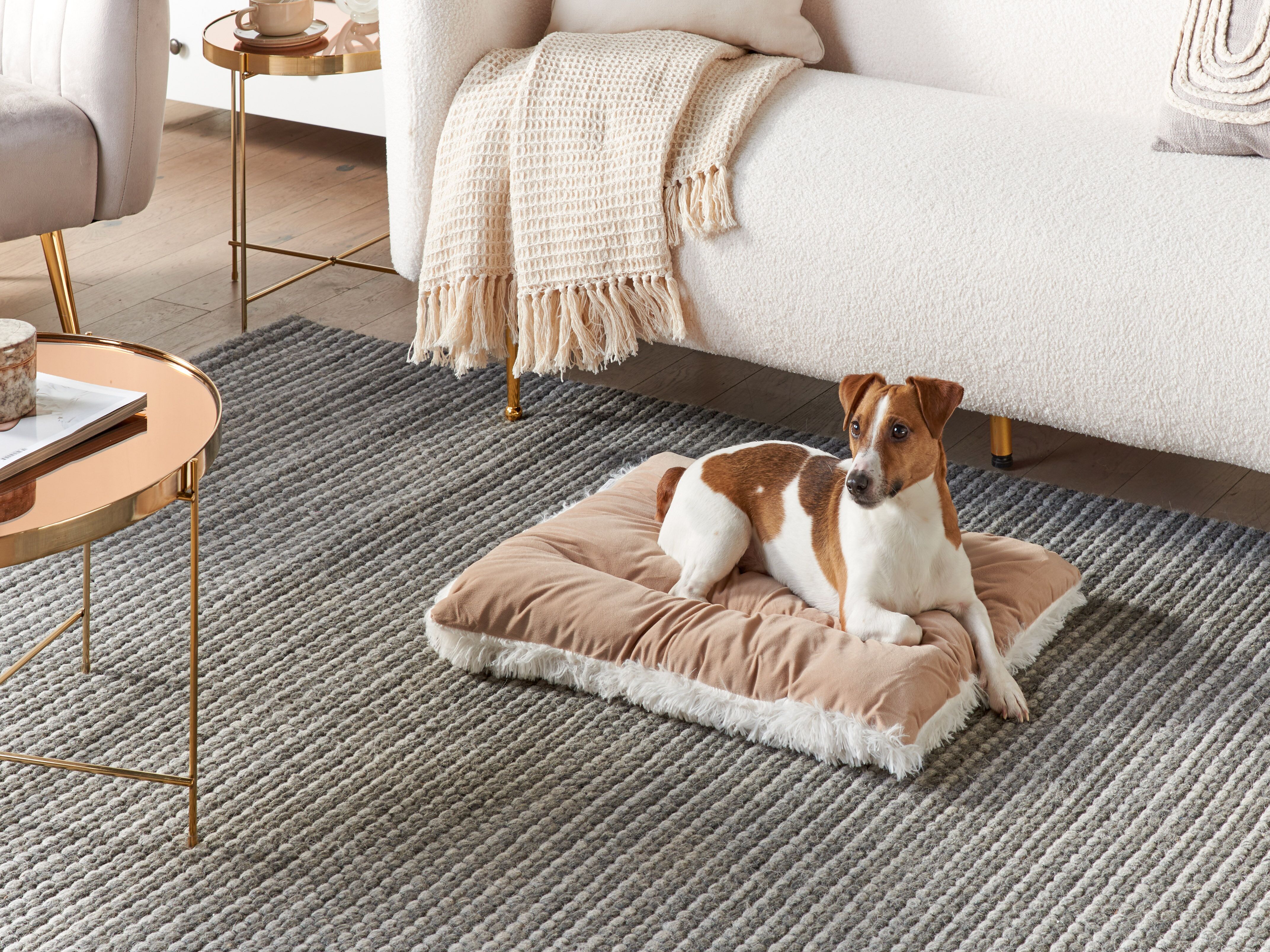 Pet Bed ERGANI Velvet Beige