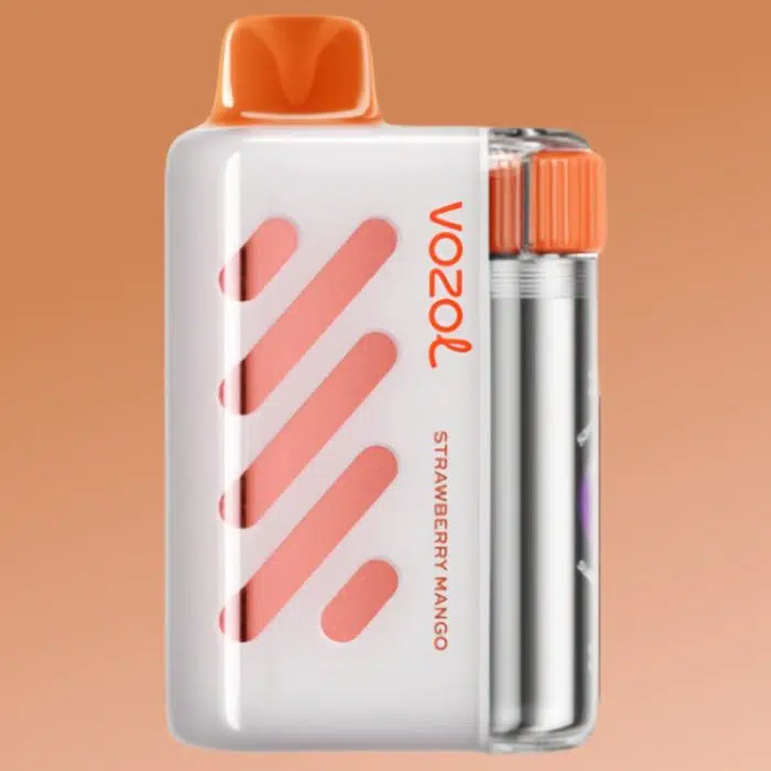 VOZOL VISTA 40000 puffs