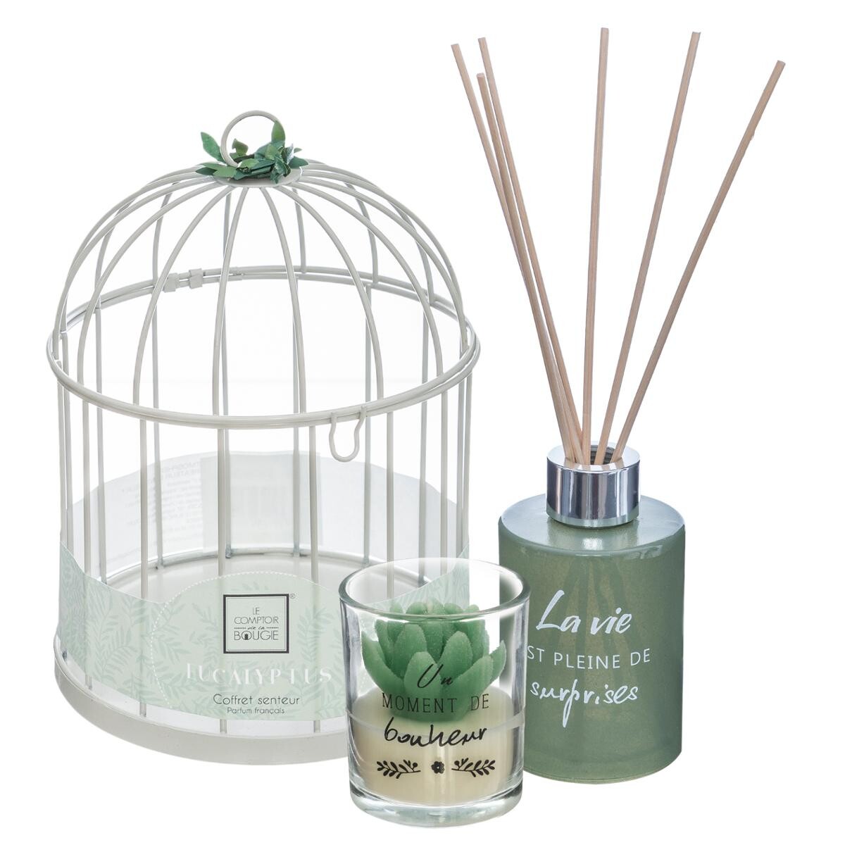 Cage gift set "Zen" Eucalyptus, D.14 cm
