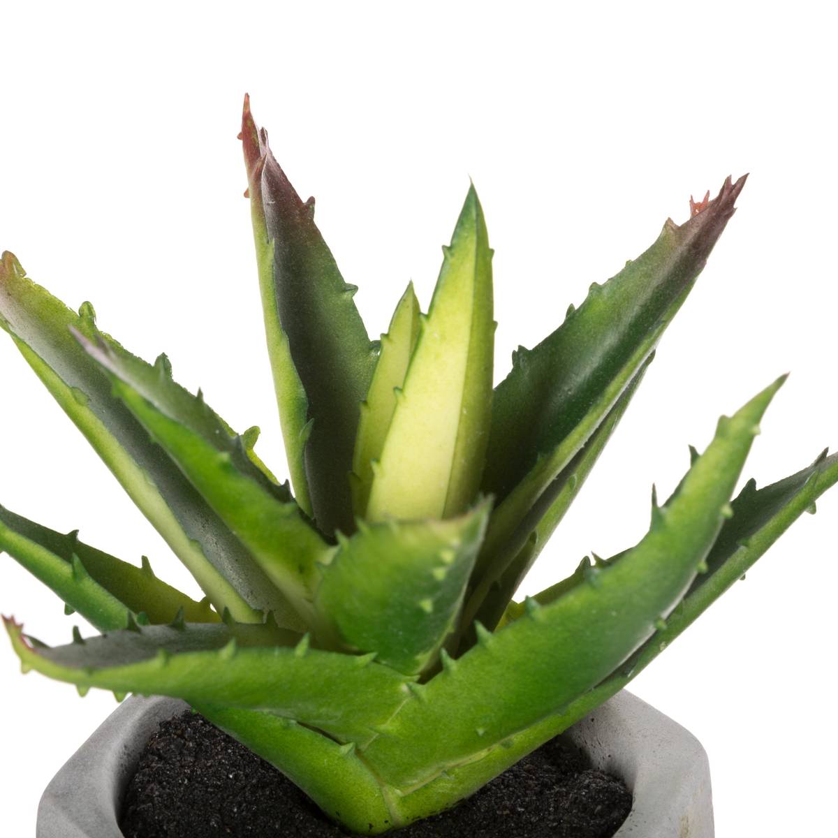 Artificial succulent plant Cement pot, H.14 cm