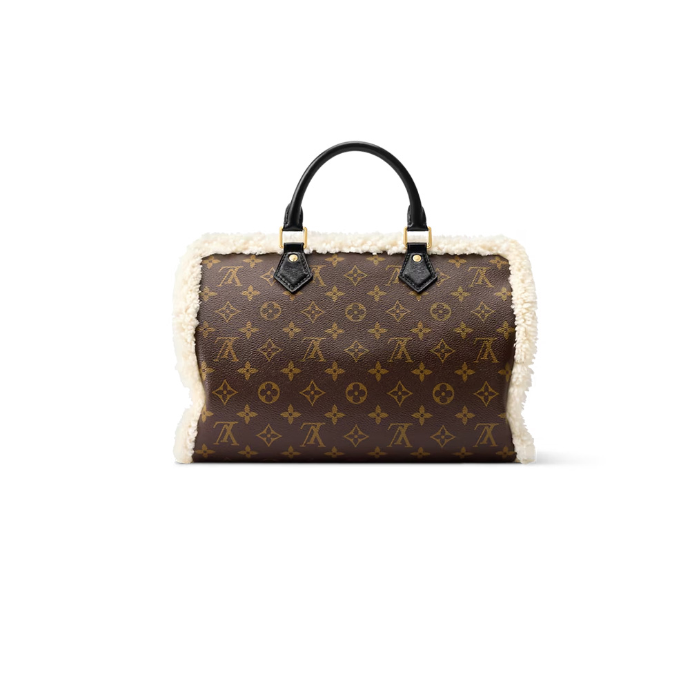 Louis Vuitton Speedy Soft 30 Teddy（10A Mirror Version）1:1High-quality replica