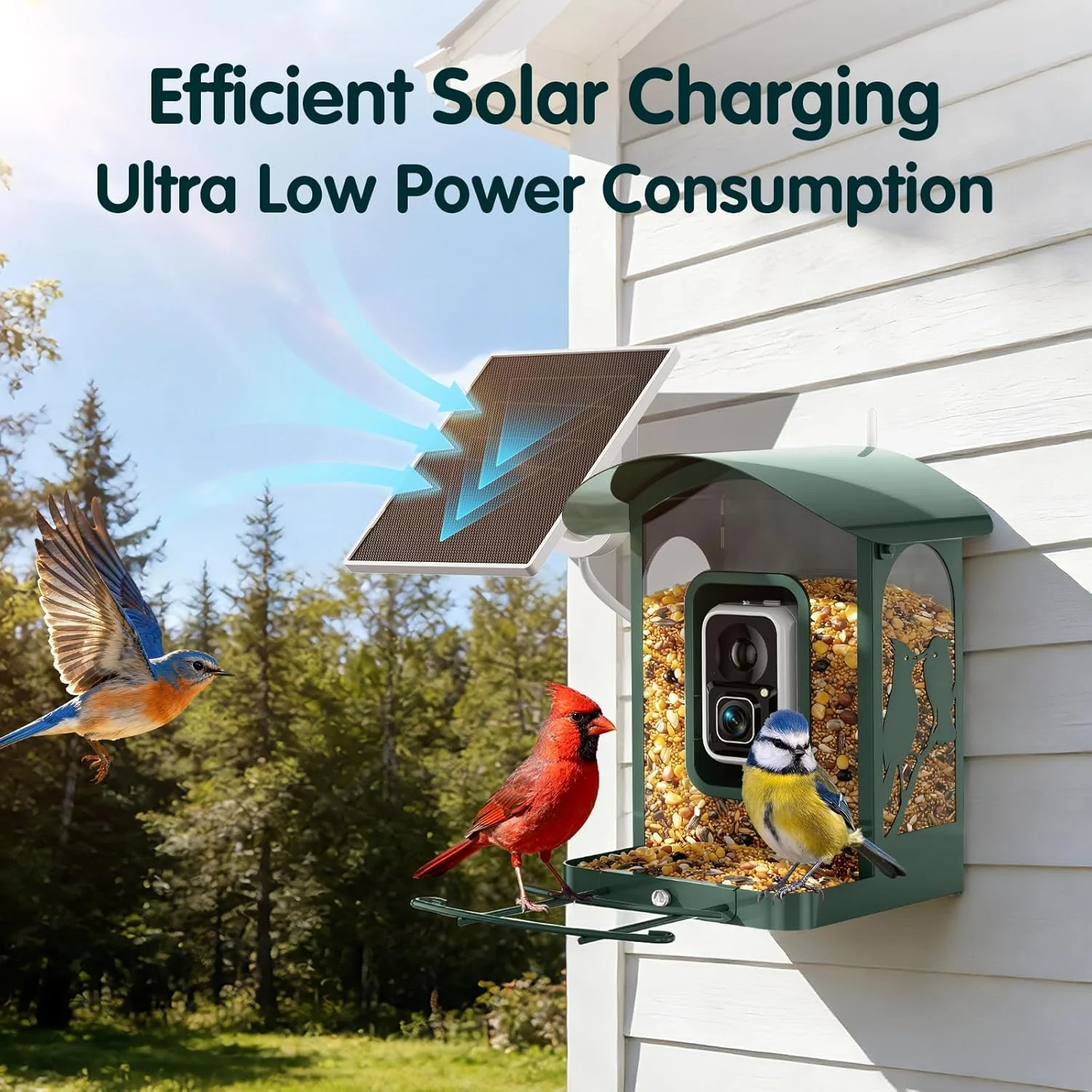 Humbirdy Smart Bird Feeder With Camera, 4K Ultra HD, Solar Powered, 2.4G/5G Wi-Fi - Image 8 Humbirdy Smart Bird Feeder With Camera, 4K Ultra HD, Solar Powered, 2.4G/5G Wi-Fi - Image 8