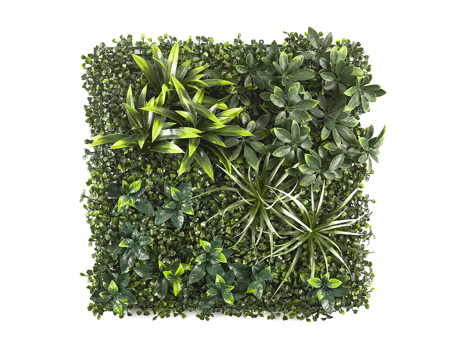 Mur Végétal Artificiel - HOME DECO FACTORY - Panache - Vert - 50 x 50 cm