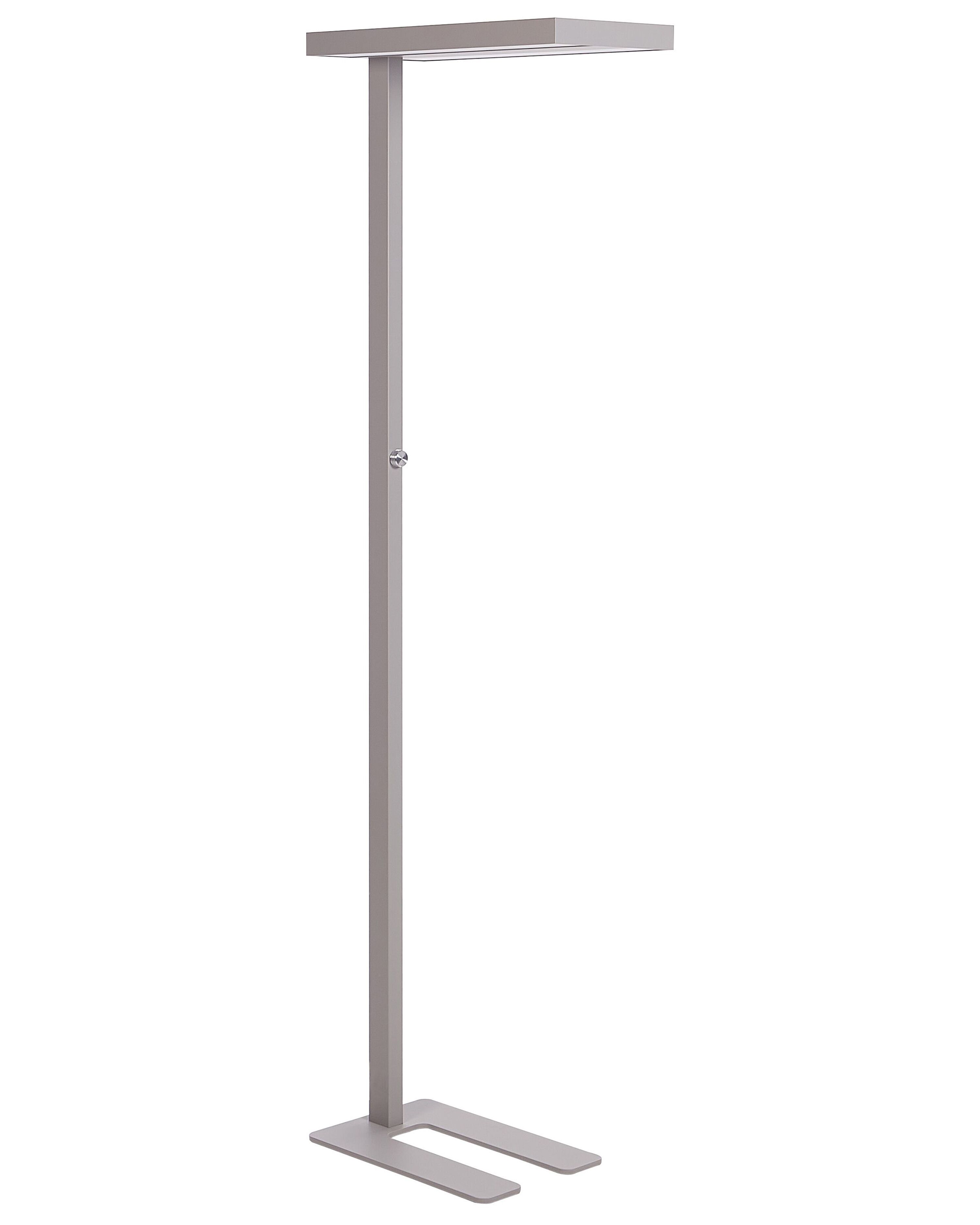 LED Floor Lamp TAURUS with Dimmer Metal Silver