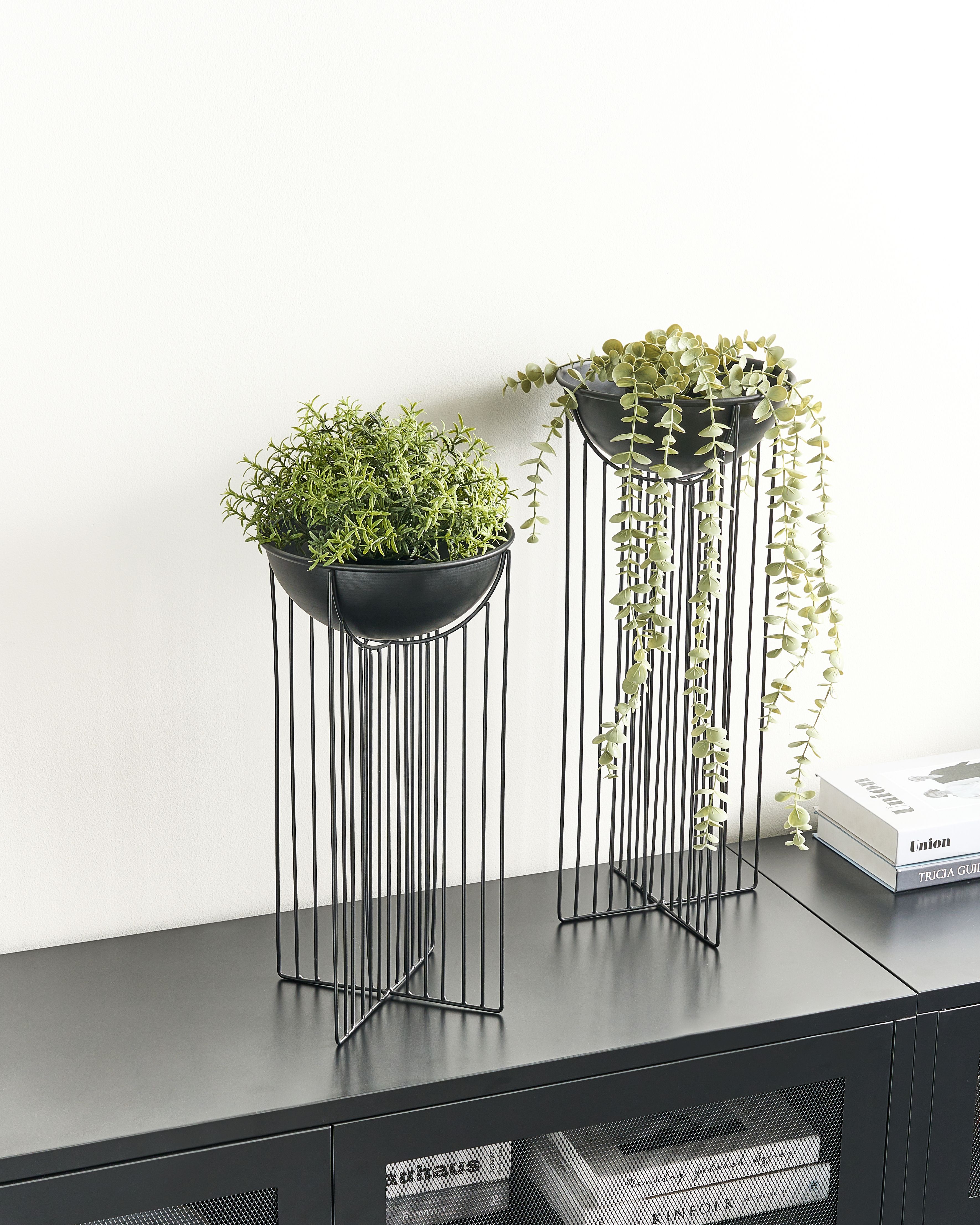 Set of 2 Elevated Plant Pots FICARIA Metal 22 cm Black