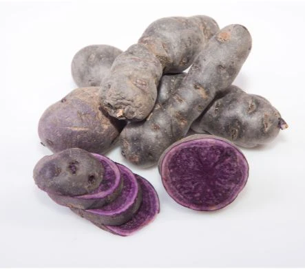 Truffe de Chine (Vitelotte) – Noble purple potato with bite