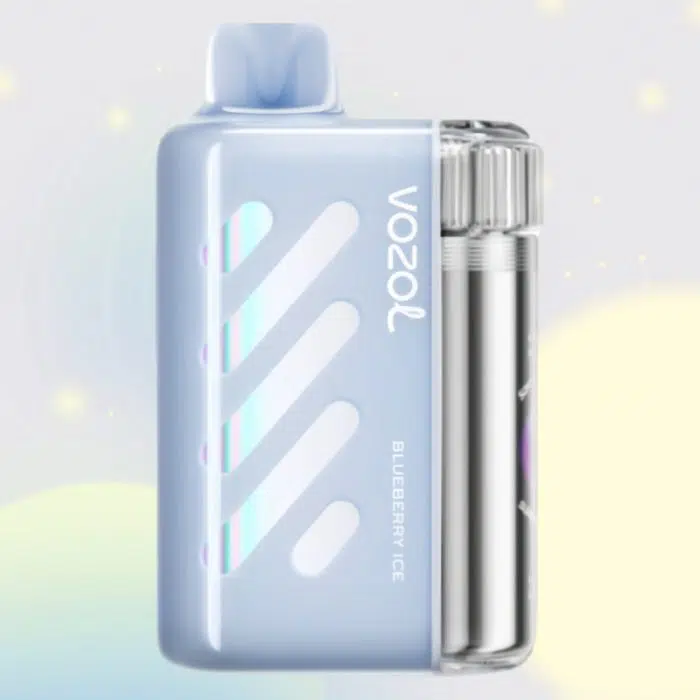 VOZOL VISTA 40000 puffs