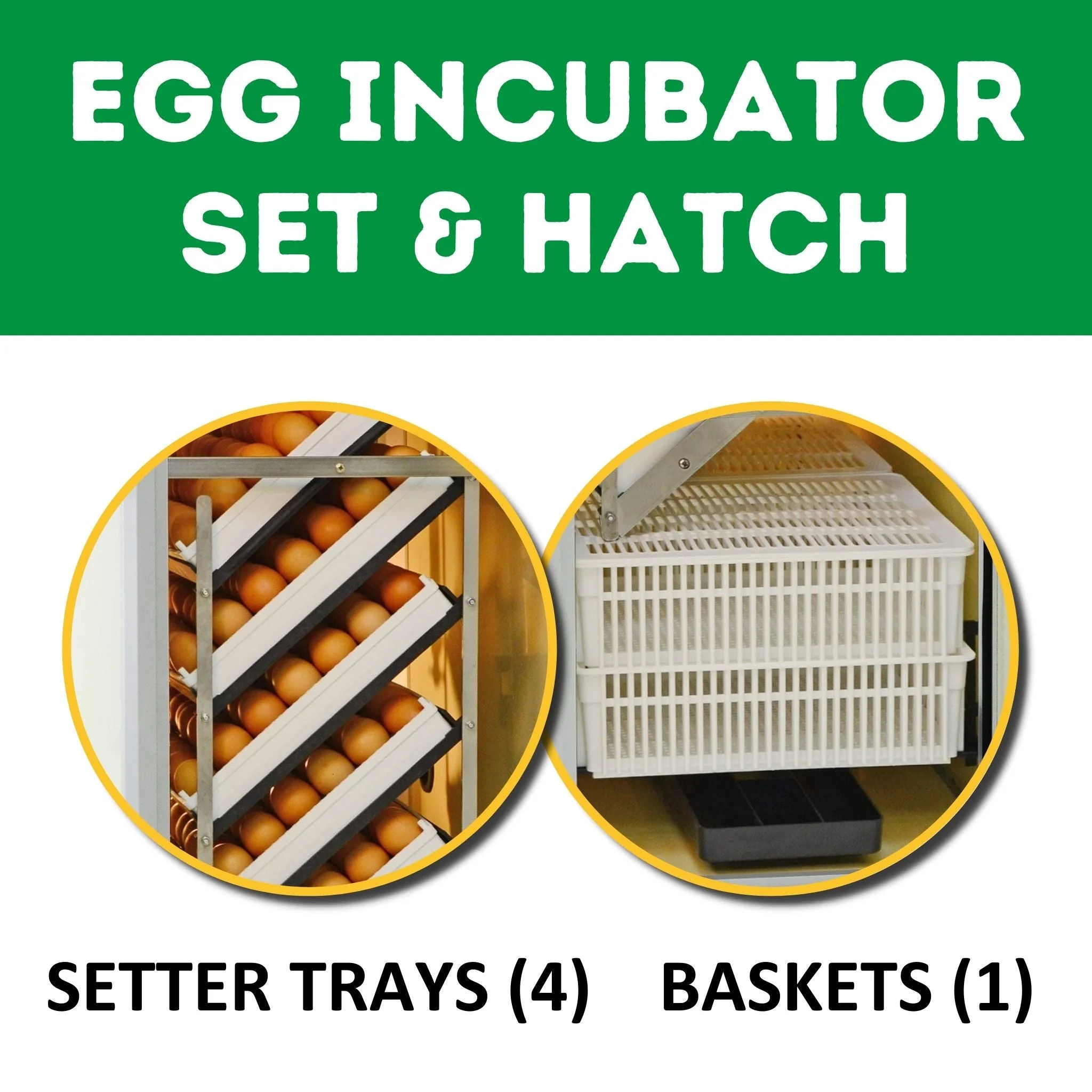 HB175C Egg Incubator with Hatcher Combo. Automatic Egg Turning and Humidity Control, Adjustable Egg Setter Trays, Perfect Poultry Incubator, Set and Forget Design. - Cimuka by Hatching Time - Image 2