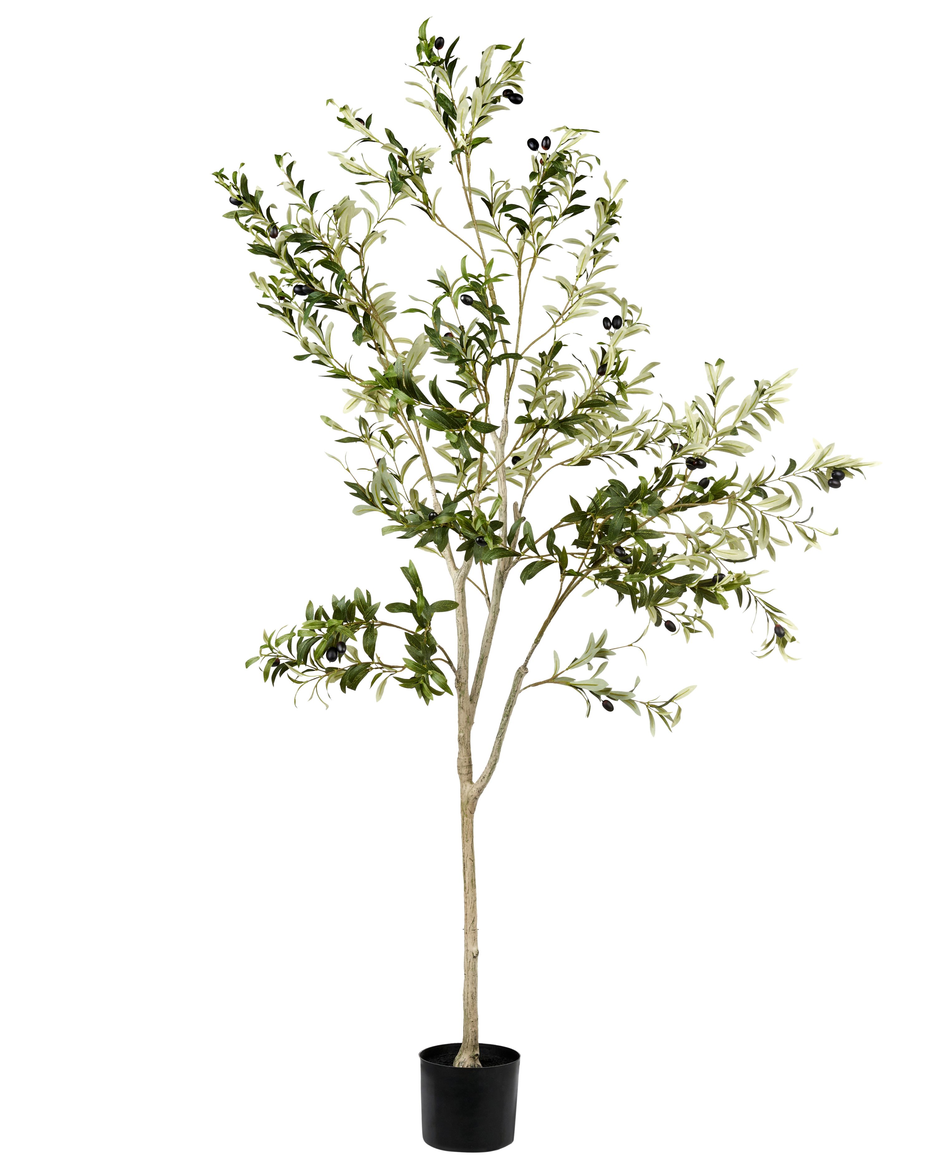Artificial Plant OLIVE TREE 178 cm Green