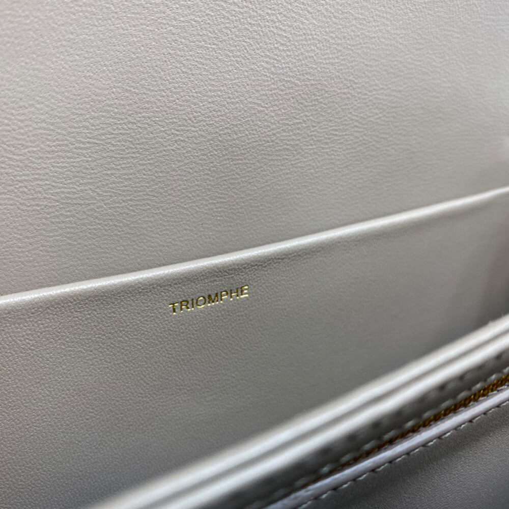 CELINE CLASSIQUE TRIOMPHE BAG in shiny calfskin(HIGH-END GRADE)1:1High-quality replica