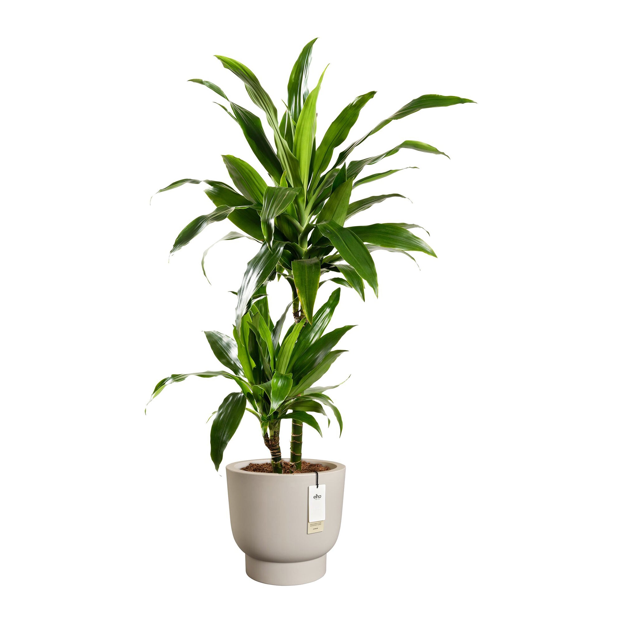Elho Amber Grail 40 - Balanced beige - Ø 38 x H 36 cm - Binnen en Buit