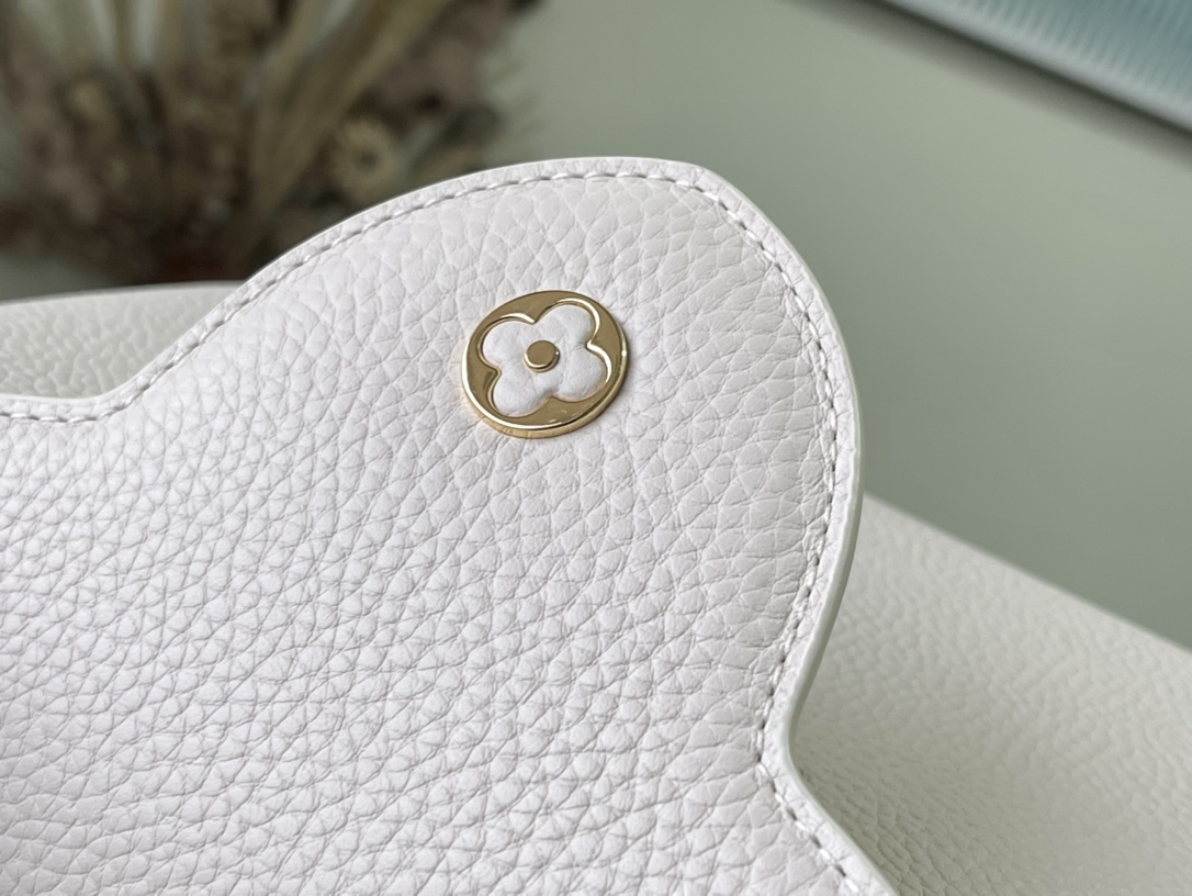 Louis Vuitton Z Capucines MM M211271:1High-quality replica