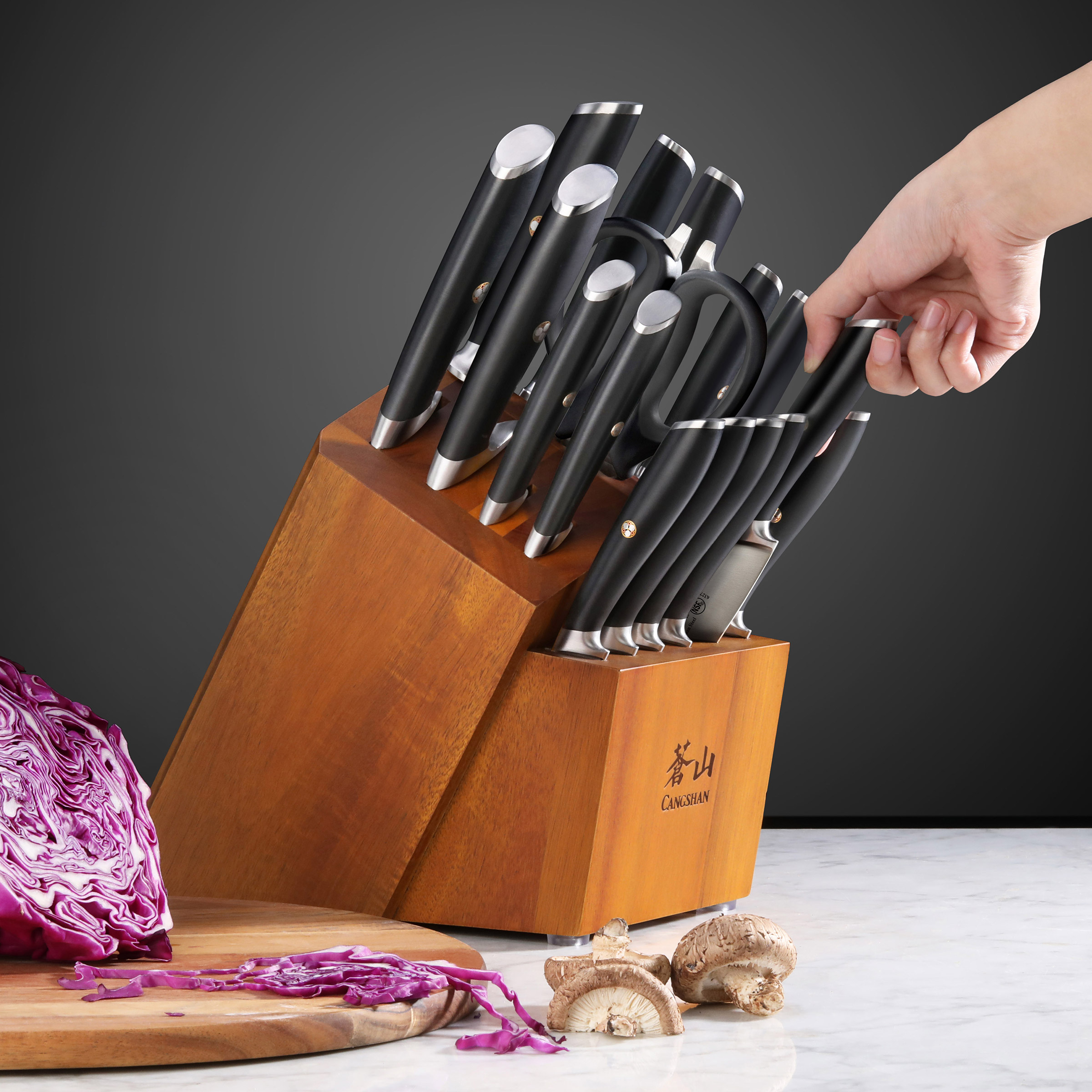 Cangshan L Series 17-piece German Steel Forged Knife Set