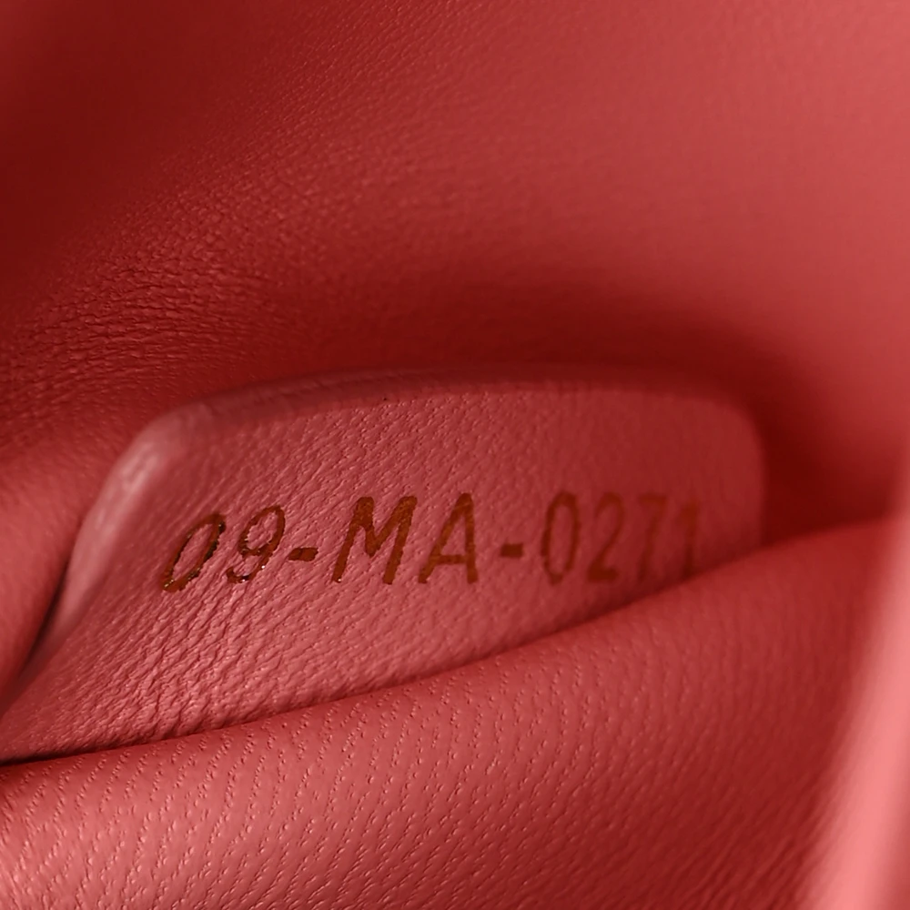 Mirror Quality Dior Peach Blossom Mini Backpack Replica1:1High-quality replica