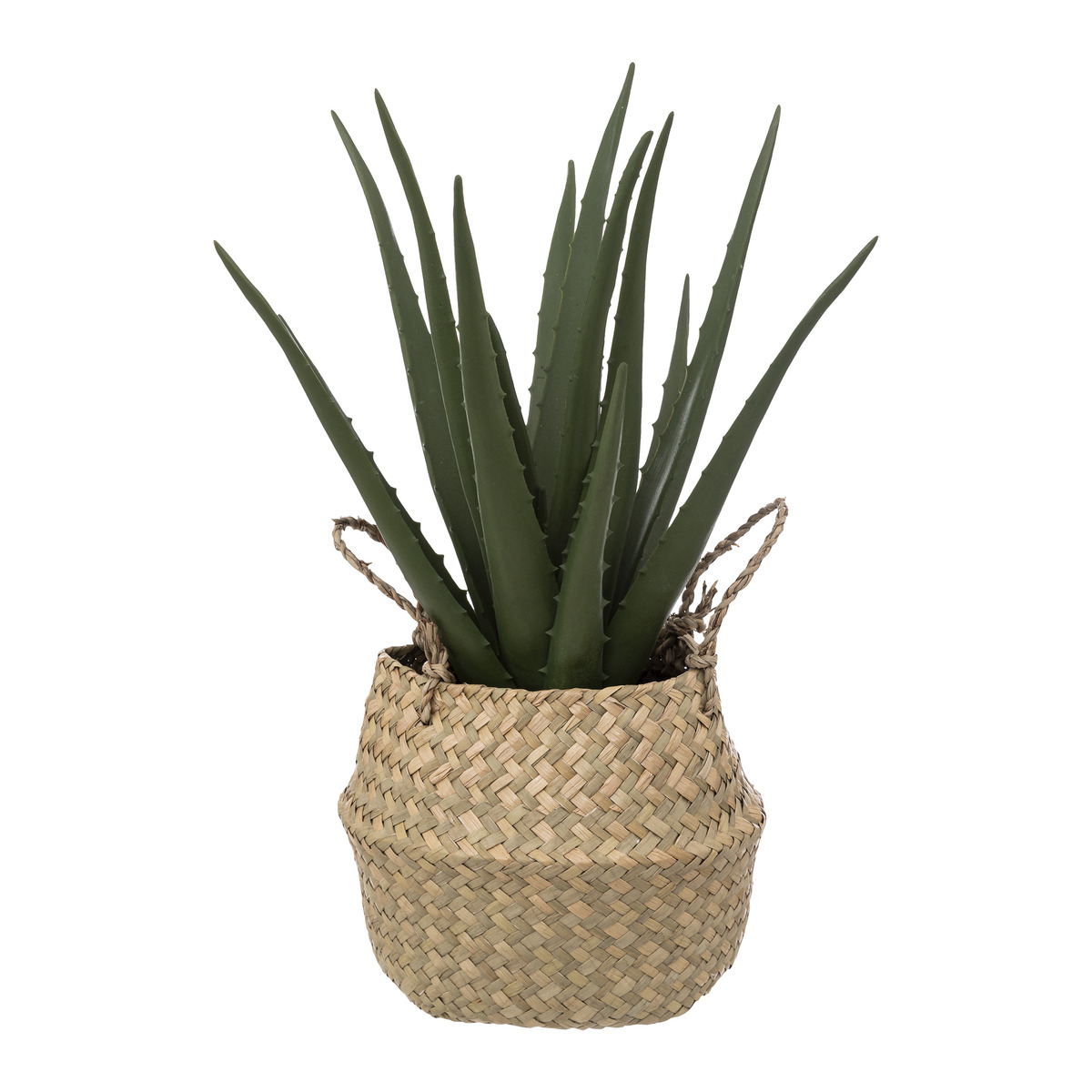 Artificial aloe vera Reed pot, H.40 cm