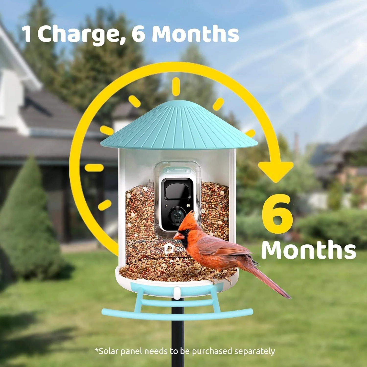 NETVUE by Birdfy Smart Bird Feeder With Camera, Solar Power, 1.5L - Image 5 NETVUE by Birdfy Smart Bird Feeder With Camera, Solar Power, 1.5L - Image 5