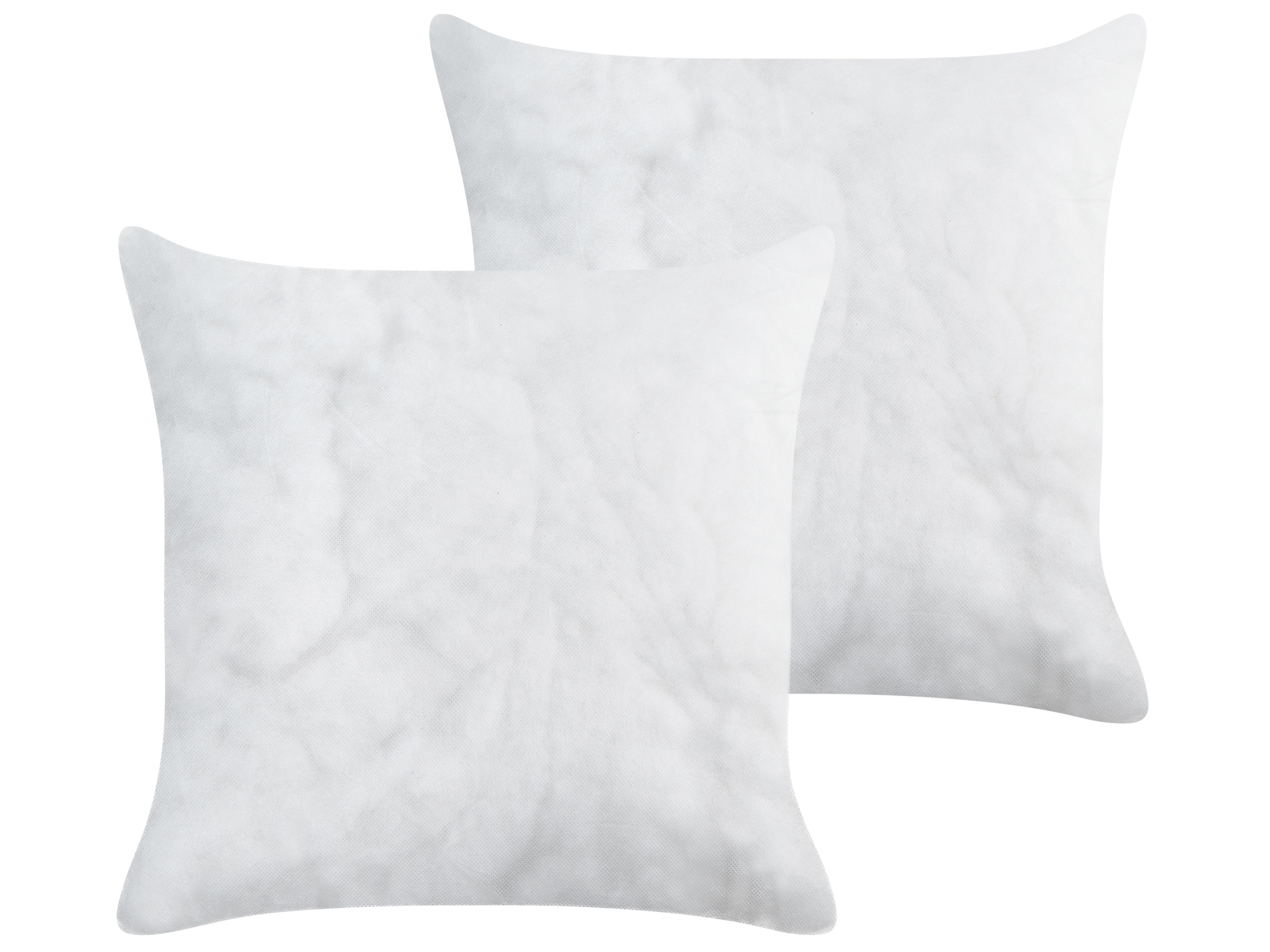 Set of 2 Cushion Inserts ECHIUM 45 x 45 cm White