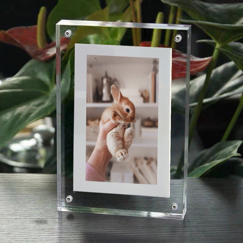 VisualMemo - USB Oplaadbaar Display - Foto- & Videolijst - Digitale Fotolijst