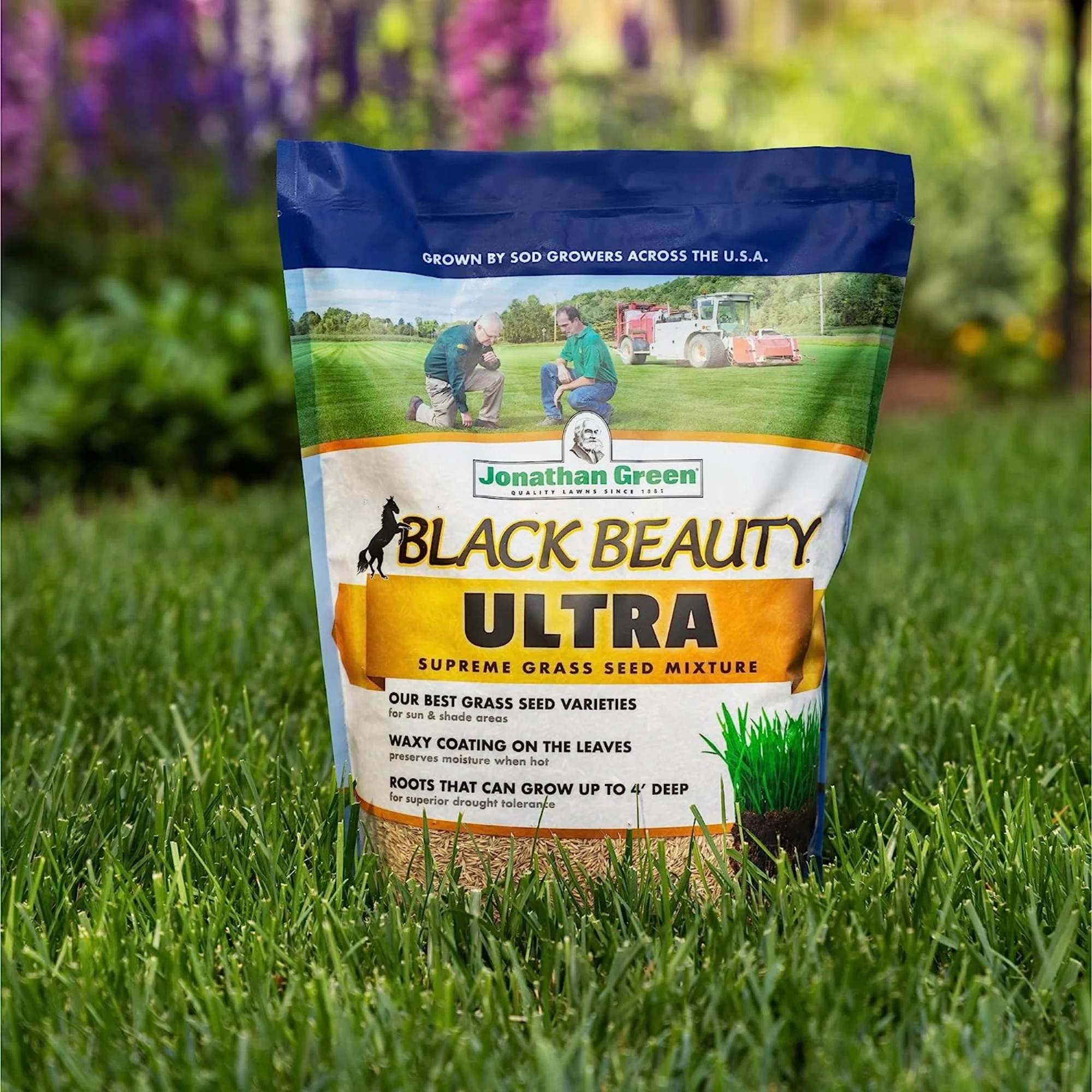 Jonathan Green 10323 Black Beauty Ultra Grass Seed Mix, 25 Pounds - Image 3
