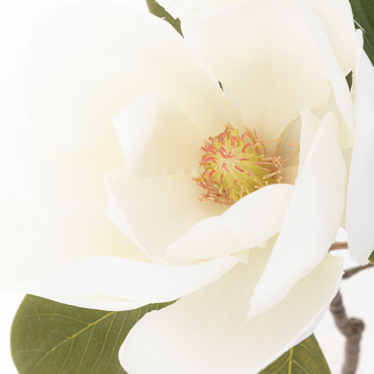 Kwiat sztuczny HIYA magnolia biała 71 cm