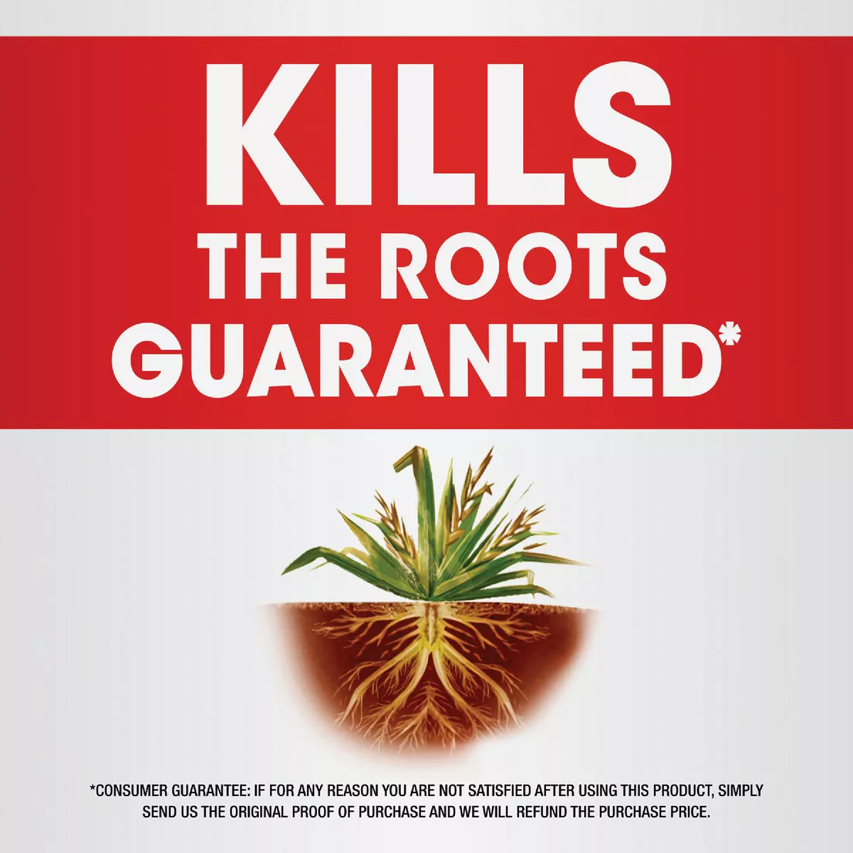 Roundup 36.8 Oz. Concentrate Plus Weed & Grass Killer
