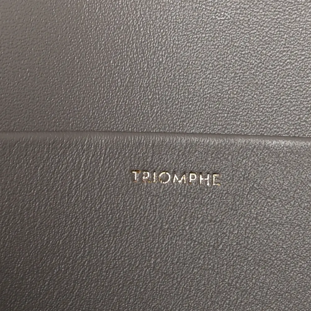 Mirror Quality Replica Celine Triomphe Bag – Gold Hardware1:1High-quality replica