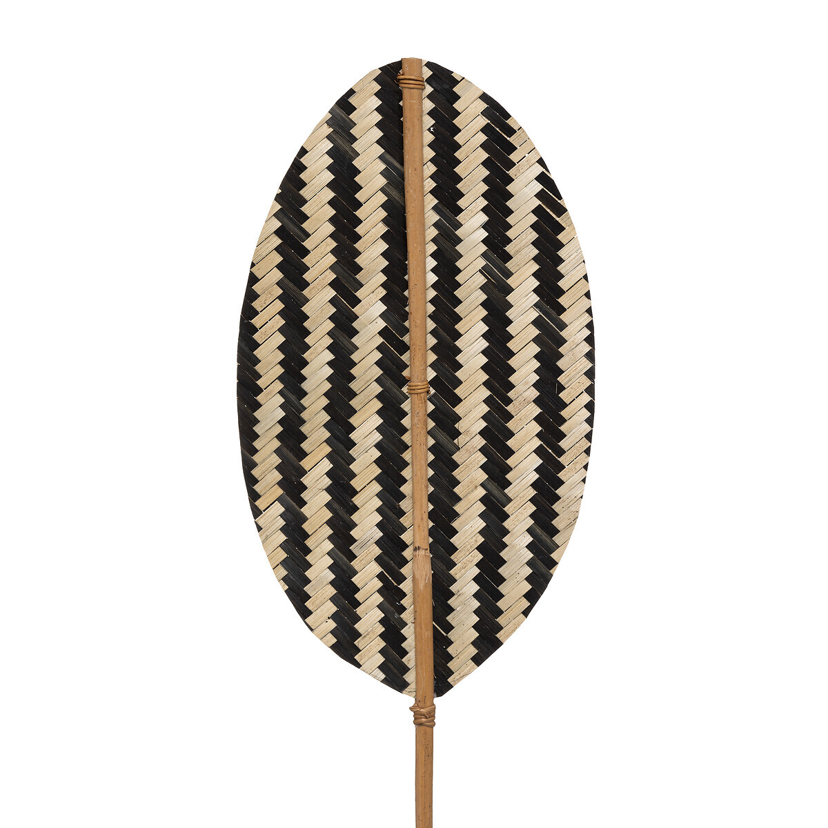 Natural stem "Tropics" Bamboo, H.78 cm