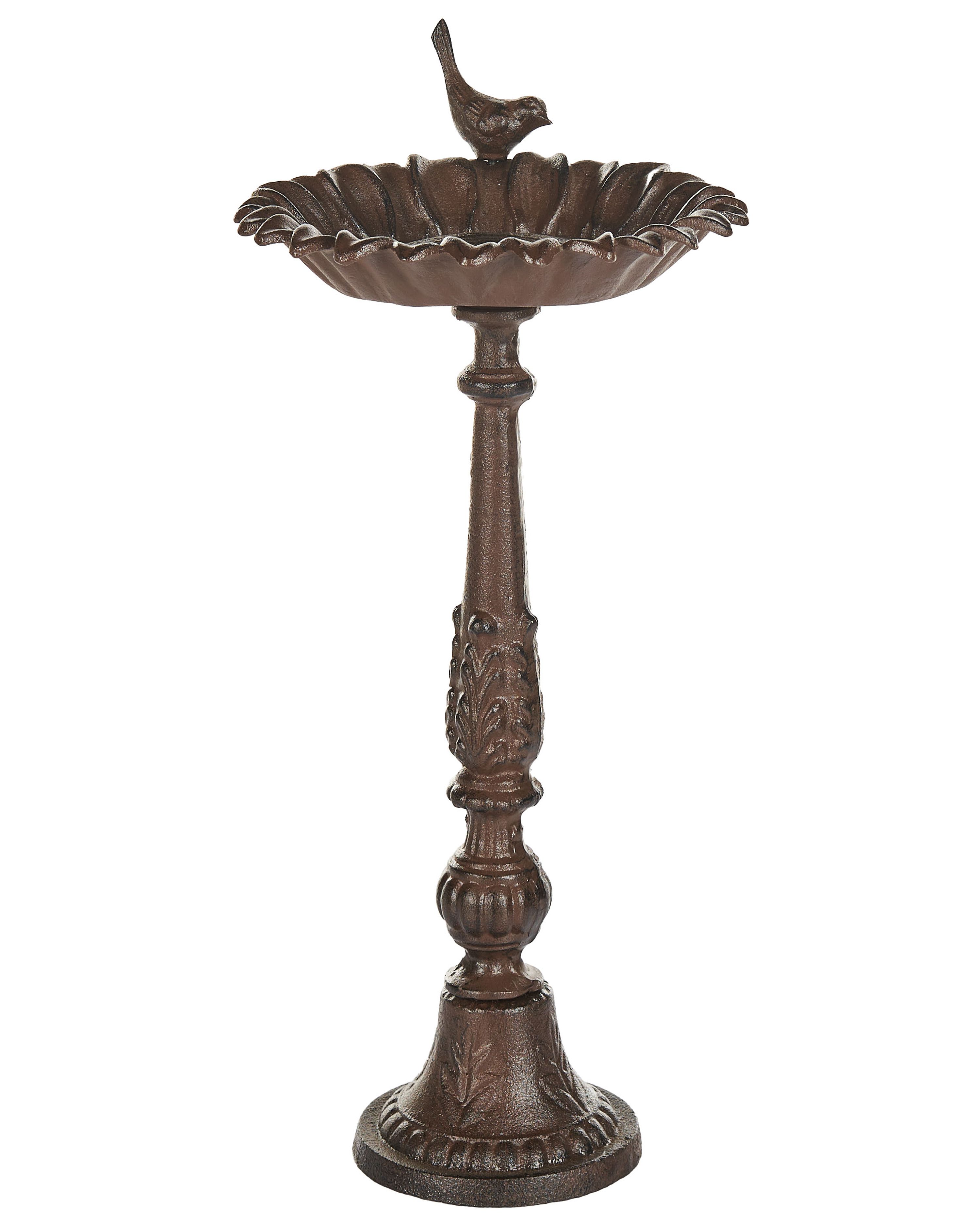 Bird Bath BLACKBIRD Brown