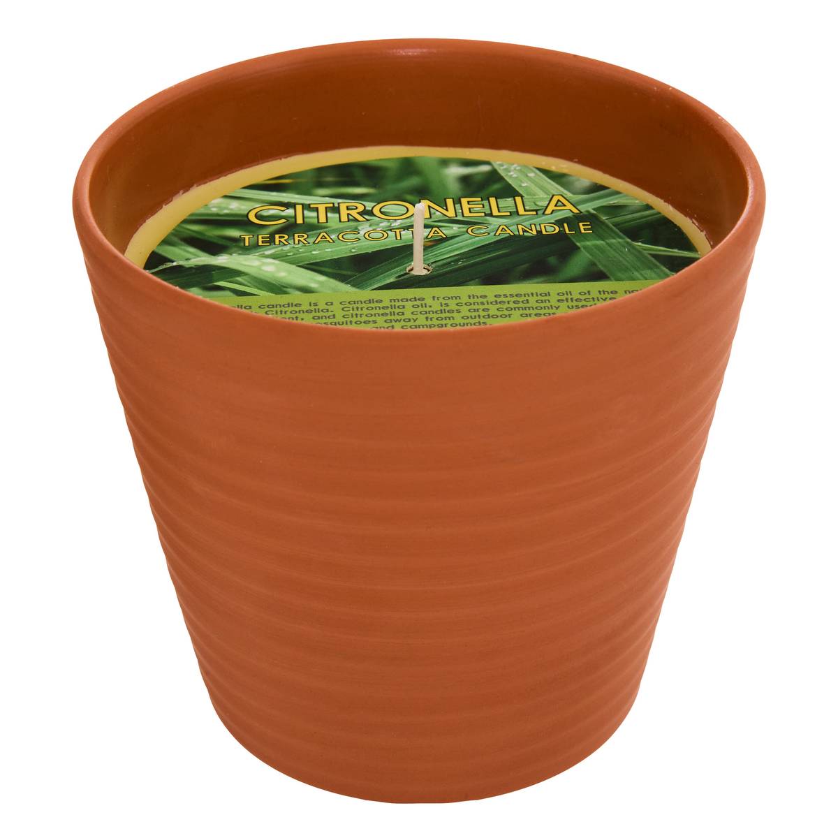 Scented Candle "Terry" Fruity Scent, Lemongrass, 200g