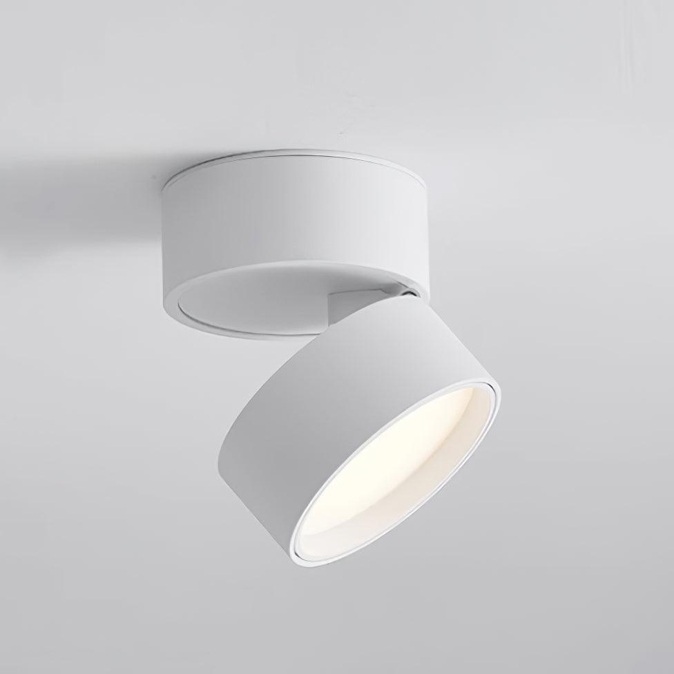 VerstelGloed - Plafondlamp met Flexibele Lichtinstellingen